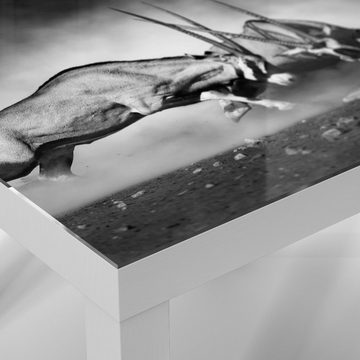 DEQORI Couchtisch 'Aggressive Oryxantilopen', Glas Beistelltisch Glastisch modern