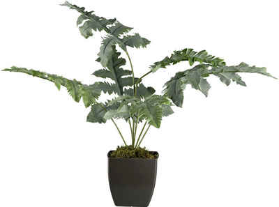 Künstliche Zimmerpflanze Blaufarn im Topf Farn, Creativ green, Höhe 68 cm