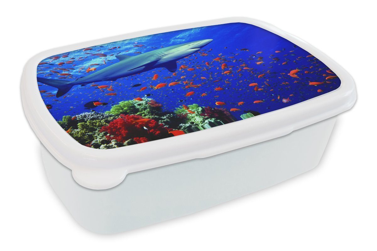 MuchoWow Lunchbox Hai am Korallenriff, Kunststoff, (2-tlg), Brotbox für Kinder und Erwachsene, Brotdose, für Jungs und Mädchen weiß