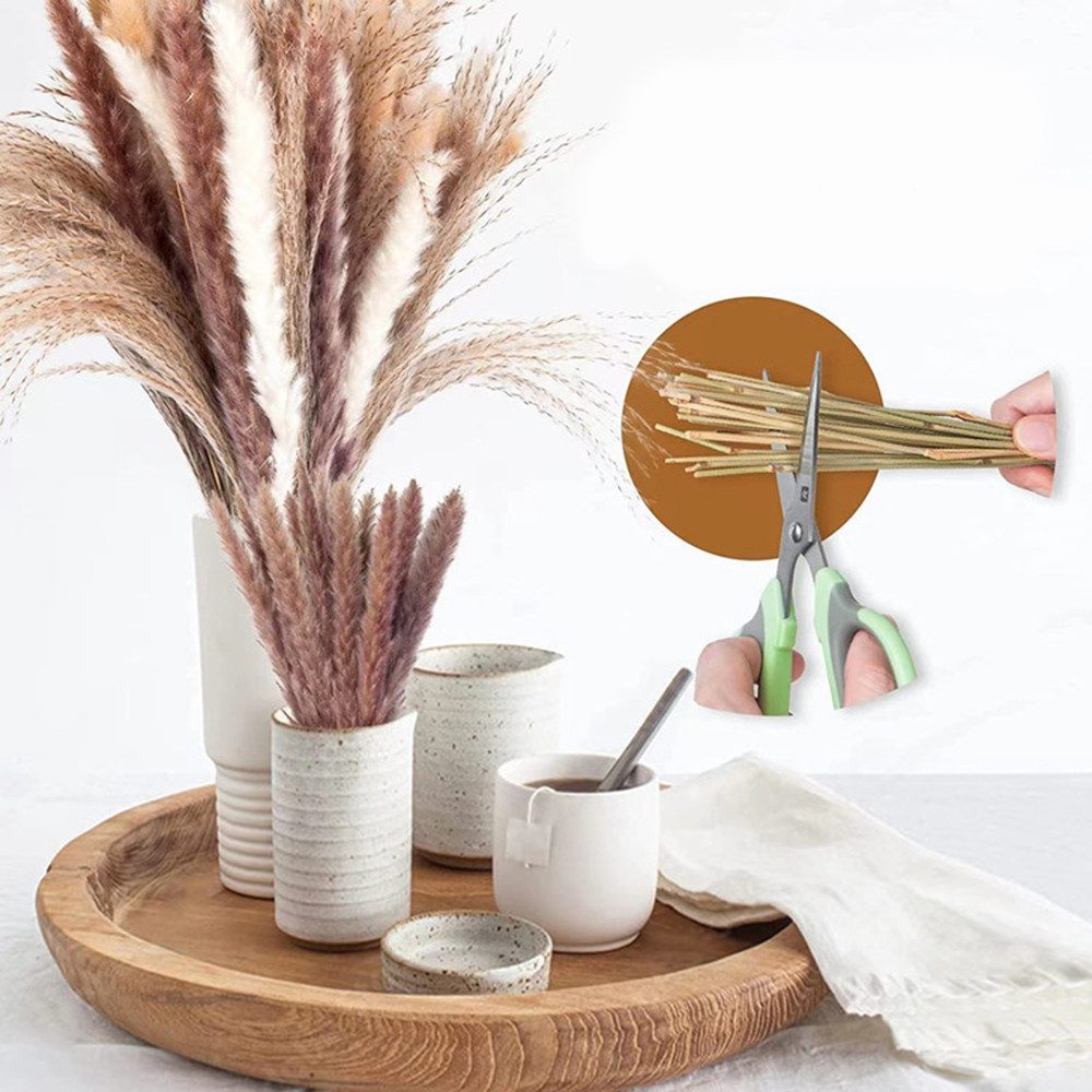 Trockenblume für Hochzeits-Boho-Blumen und Tischdekoration zu Hause, Agger