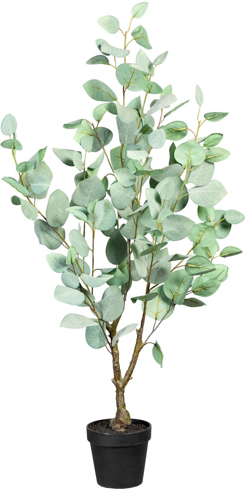 Künstliche Zimmerpflanze Eukalypthus Eukalypthus, Creativ green, Höhe 90 cm