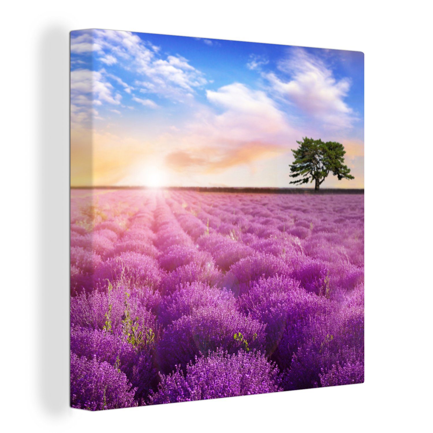 Leinwandbild Lavendel - Baum - Sonnenuntergang - Lila
