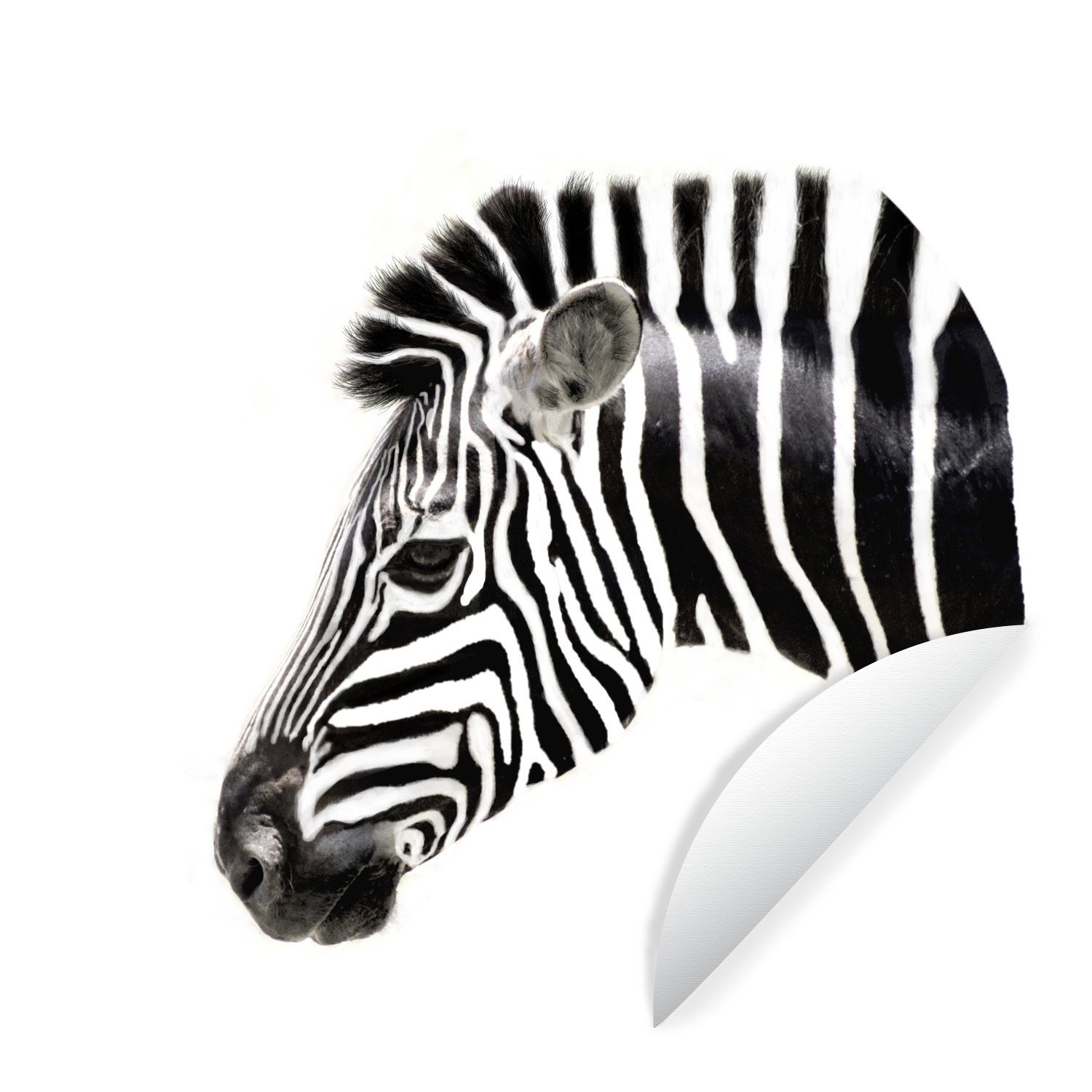 MuchoWow Wandsticker Zebra - Tiere - Weiß (1 St), Tapetenkreis für Kinderzimmer, Tapetenaufkleber, Rund, Wohnzimmer