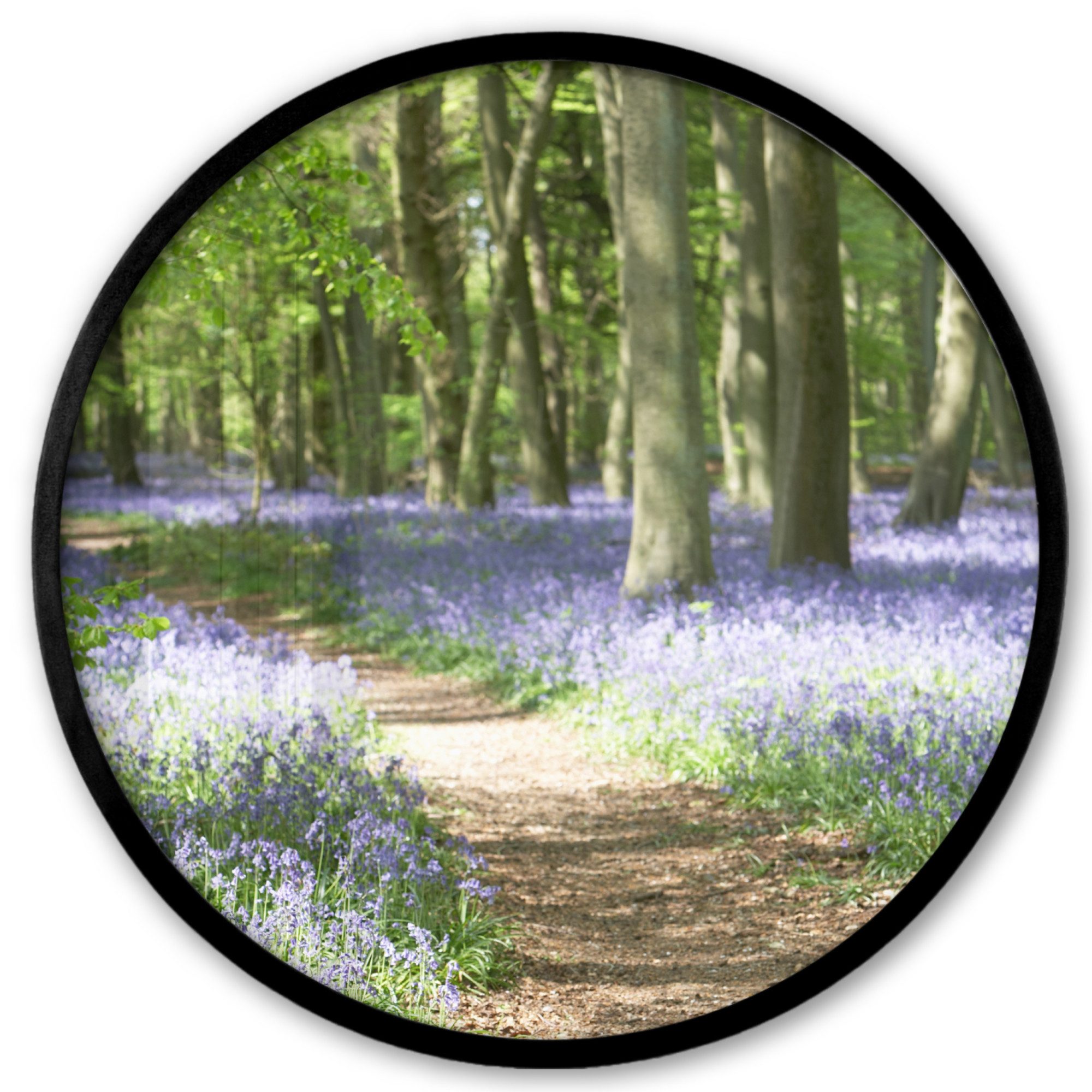 Poster Rund - Wald - Weg - Blumen - Lila - Grün - Natur