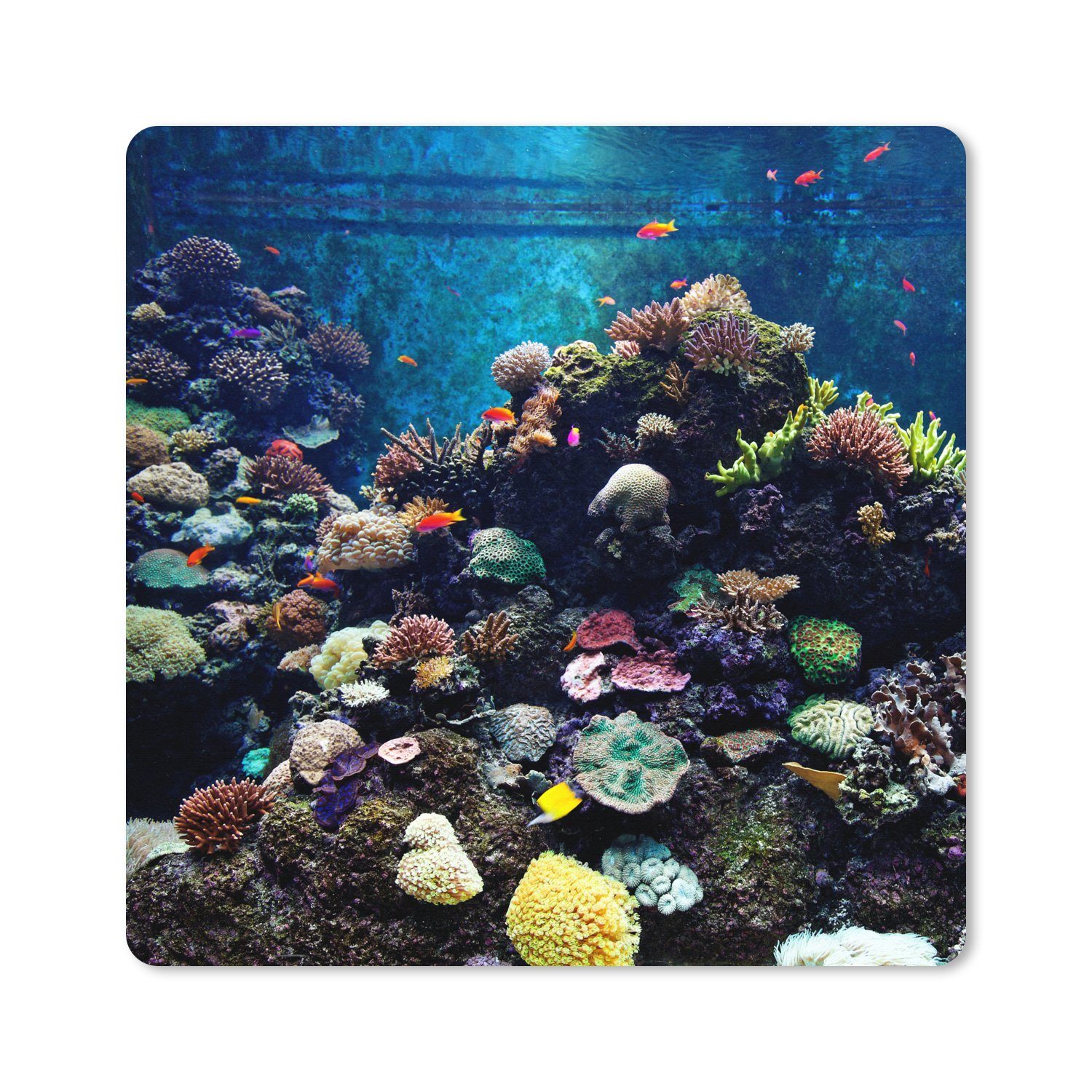 MuchoWow Gaming Mauspad Aquarium mit tropischen Fischen und Korallen (1-St), Gaming, Rutschfester Unterseite, Mausunterlage, 80x80 cm, XXL, Großes