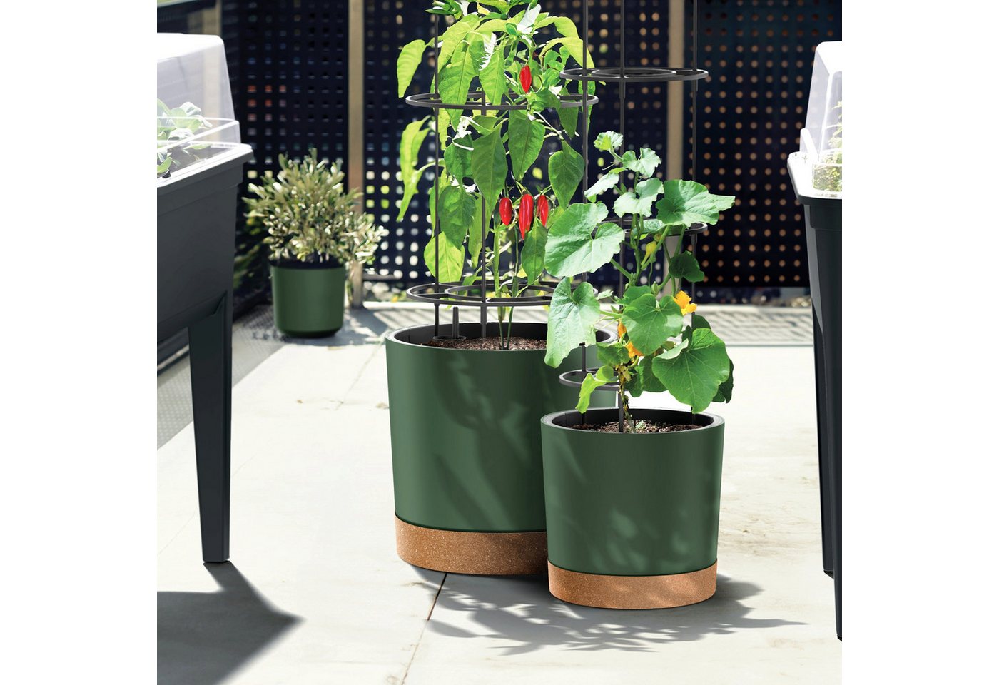 Thumbnail - VidaAtHome.de Anzuchttopf Tomaten Anzuchttopf HOME GROWER 40er, Mit Rankgestell, Wasserreservoir und herausnehmbarem Pfl...