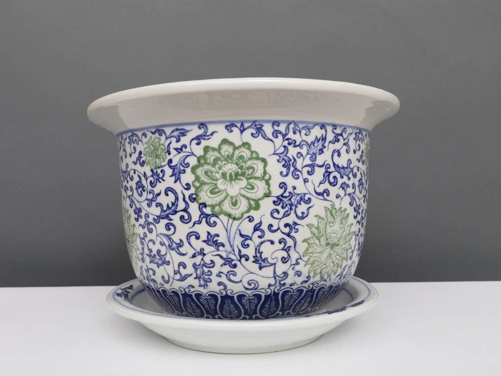 Yajutang Topfpflanze