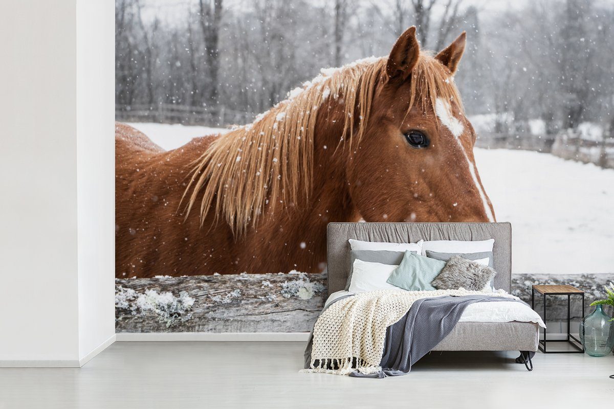 Pferd Matt, Wallpaper Fototapete bedruckt, St), (6 MuchoWow - - Wohnzimmer, - Kinderzimmer, Zaun für Schneeflocke Vinyl Schlafzimmer, Tapete Winter,