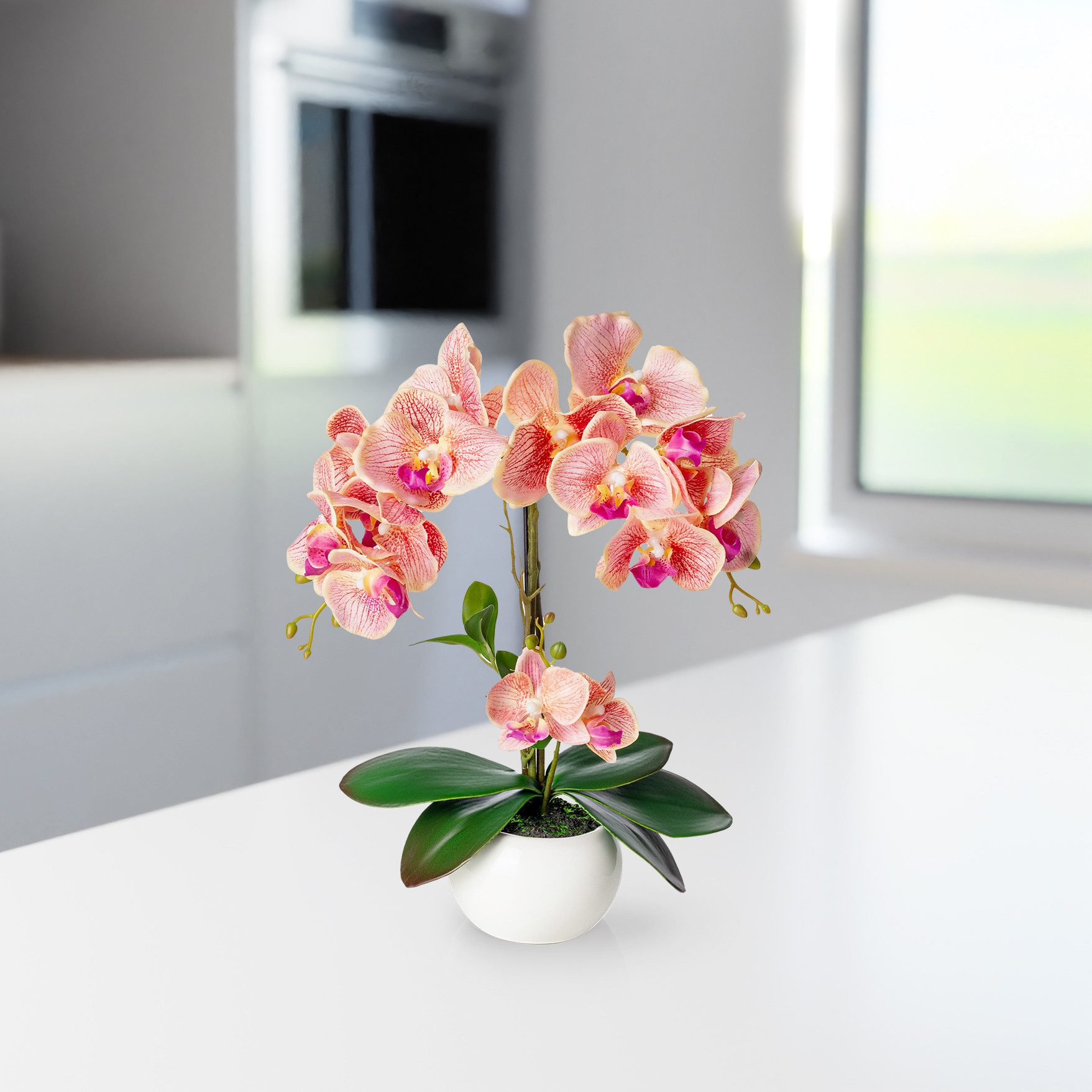 Kunstorchidee PASCH® Orchidee künstlich wie echt (40cm) in Hochglanz-Keramiktopf Orchidee, PASCH