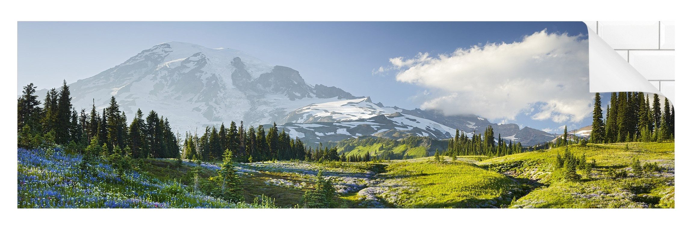 Bilderdepot24 Badrückwand grün fugenlose Wandverkleidung Bad mit Motiv, (Hartfolie matt » Selbstklebend SMART 0,35 mm), wasserfestes Wandpaneel Bergwiese blauen Blumen Rainier