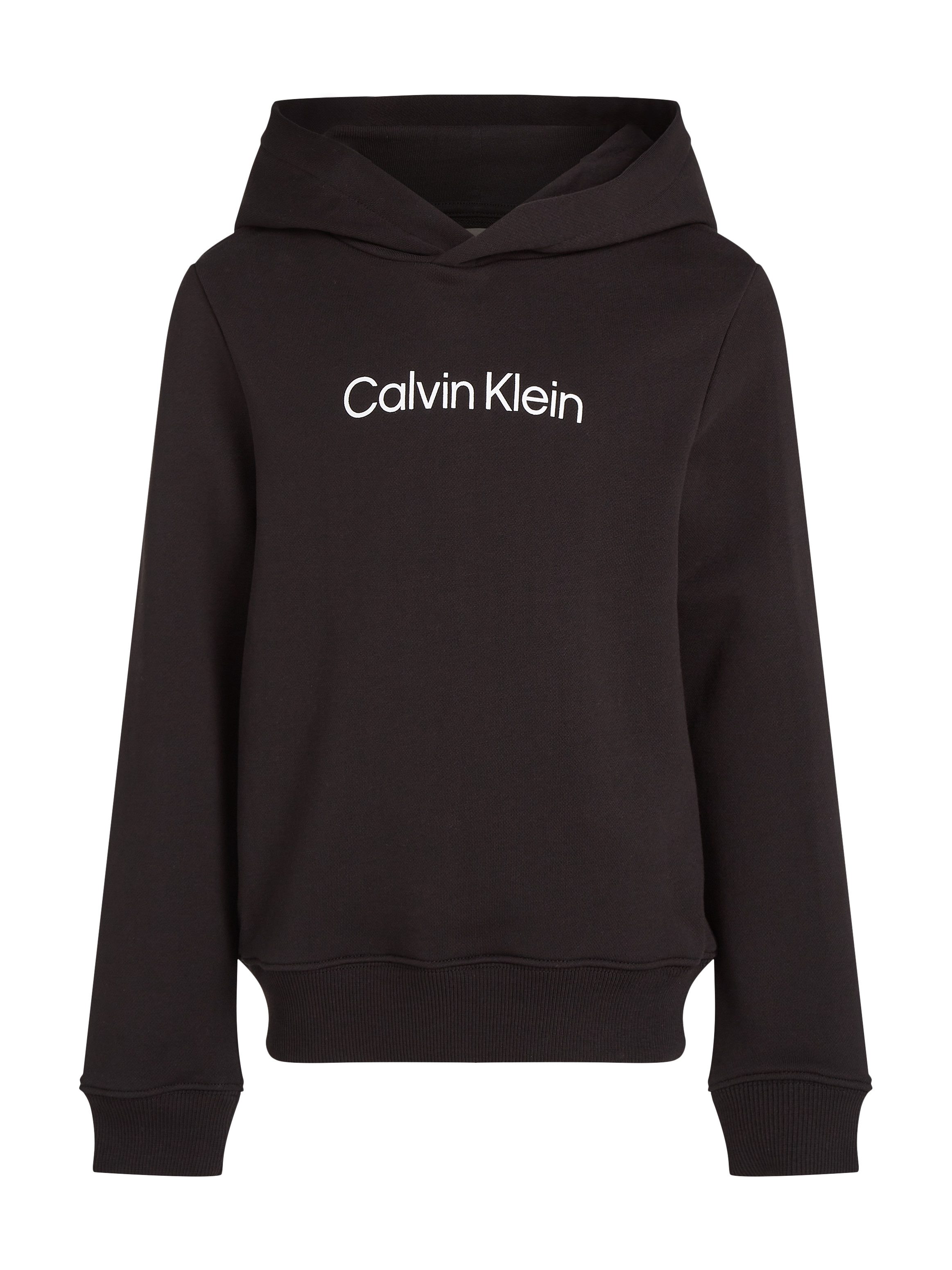 Kapuzensweatshirt Inst. Logo Reg. Terry Hoodie