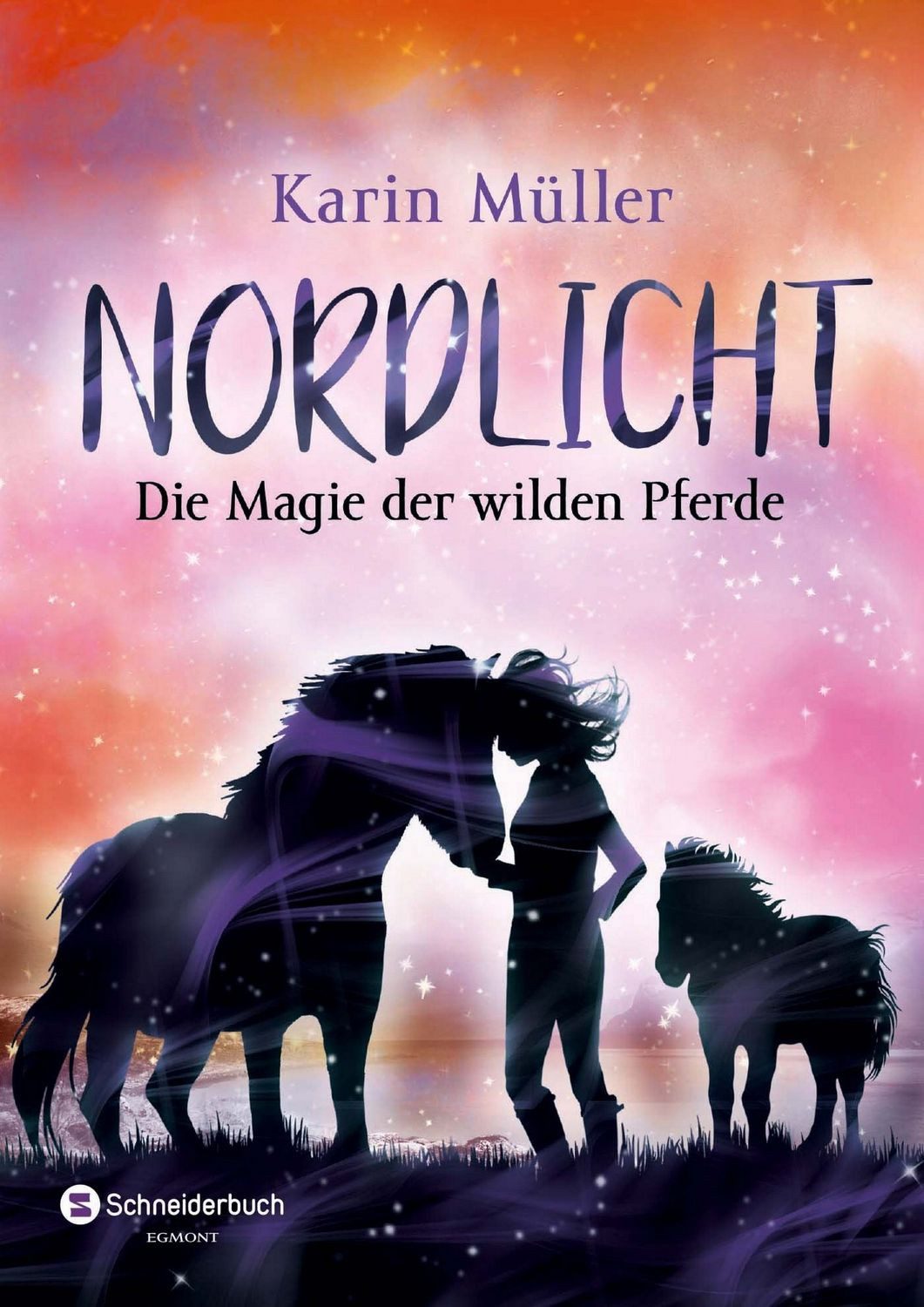 Nordlicht, Band 03 / Karin Müller