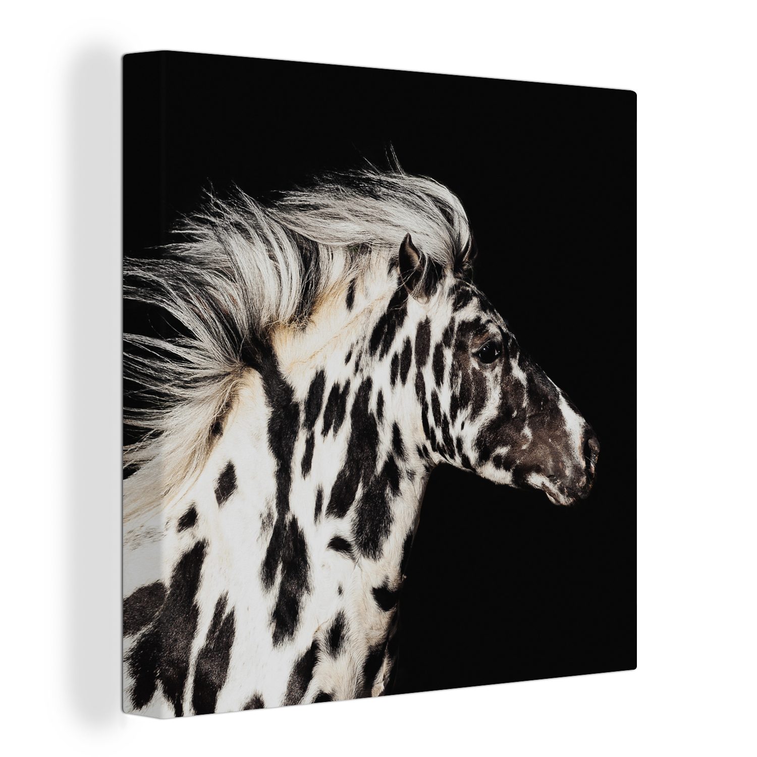 OneMillionCanvasses® Leinwandbild Pferd - Punkte - Tier, (1 St), Leinwand Bilder für Wohnzimmer Schlafzimmer