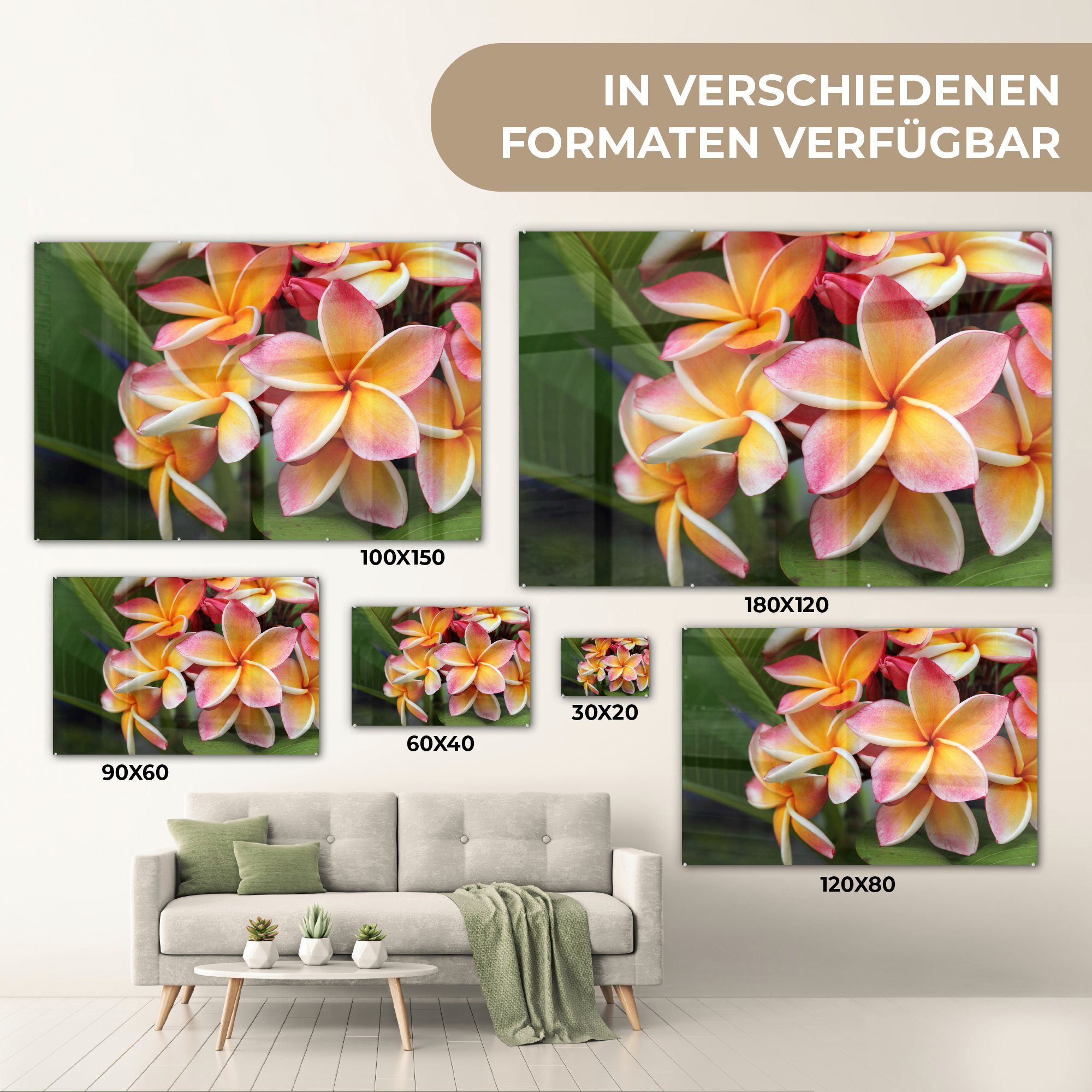 Orange, Plumeria - & MuchoWow (1 Acrylglasbild St), Acrylglasbilder Schlafzimmer Wohnzimmer - Blumen