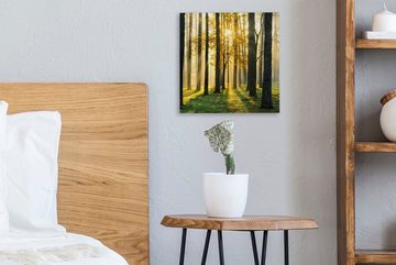 OneMillionCanvasses® Leinwandbild Wald - Sonne - Bäume - Gras - Landschaft - Natur, (1 St), Leinwand Bilder für Wohnzimmer Schlafzimmer