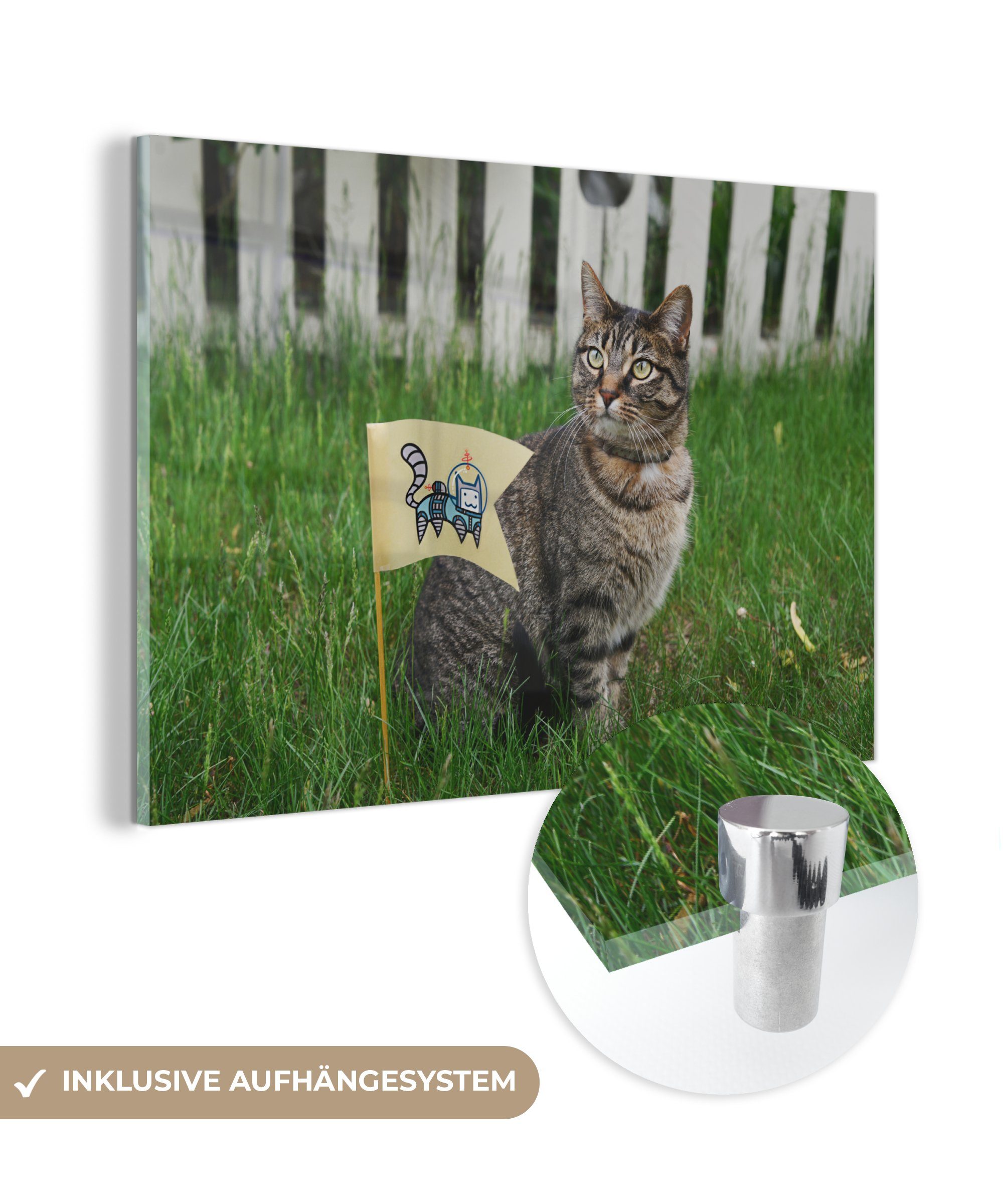 MuchoWow Acrylglasbild Katze - Fahne - Gras - Zaun, (1 St), Acrylglasbilder Wohnzimmer & Schlafzimmer