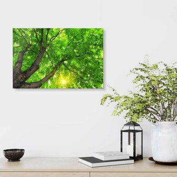 Posterlounge Acrylglasbild Editors Choice, Unter einem großen grünen Baum, Fotografie