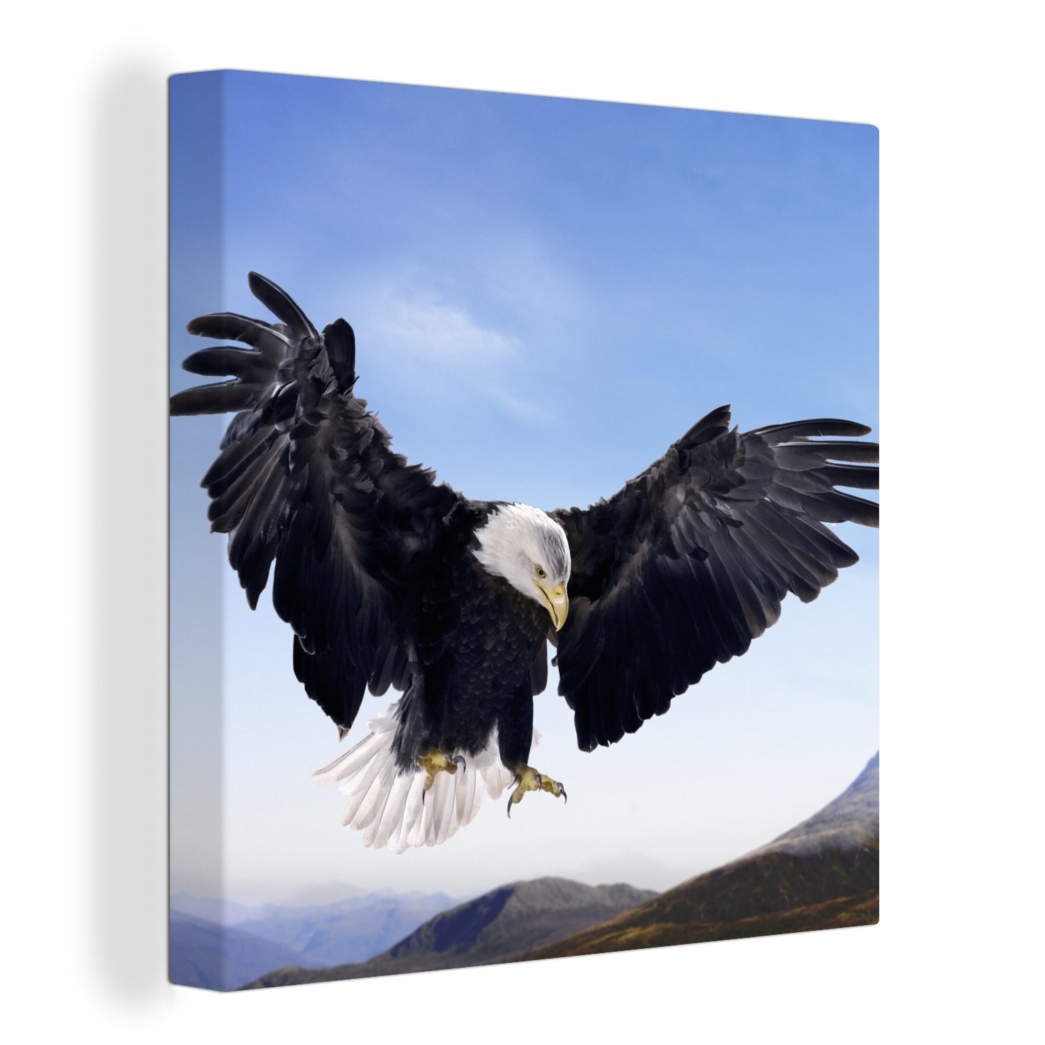 OneMillionCanvasses® Leinwandbild Ein Weißkopfseeadler will landen, (1 St), Leinwand Bilder für Wohnzimmer Schlafzimmer