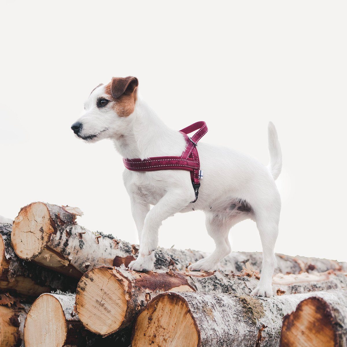 HURTTA Hunde-Geschirr Casual Geschirr weinrot