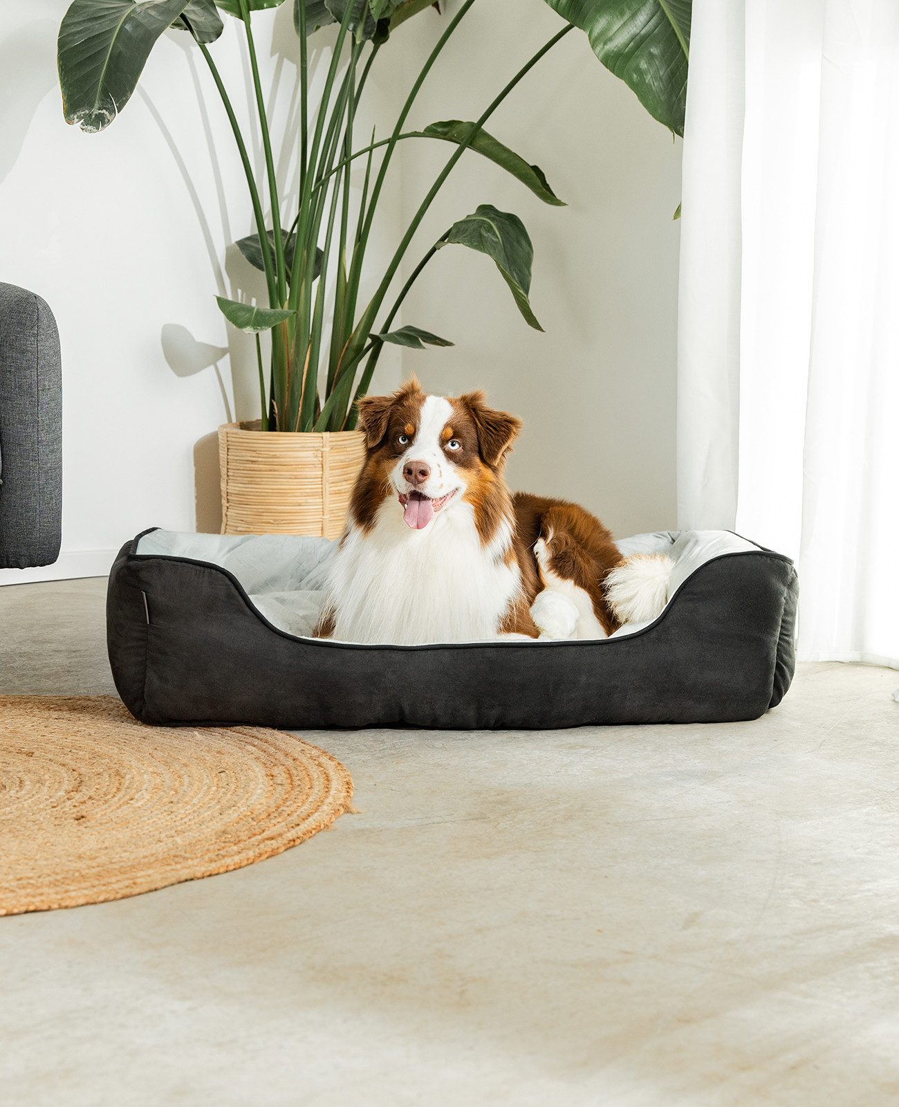 lionto Tierkissen 2-in-1, weich gepolstert & pflegeleicht, 110x80 cm, schwarz/grau, Wildlederimitat, Wendekörbchen mit tiefem Einstieg