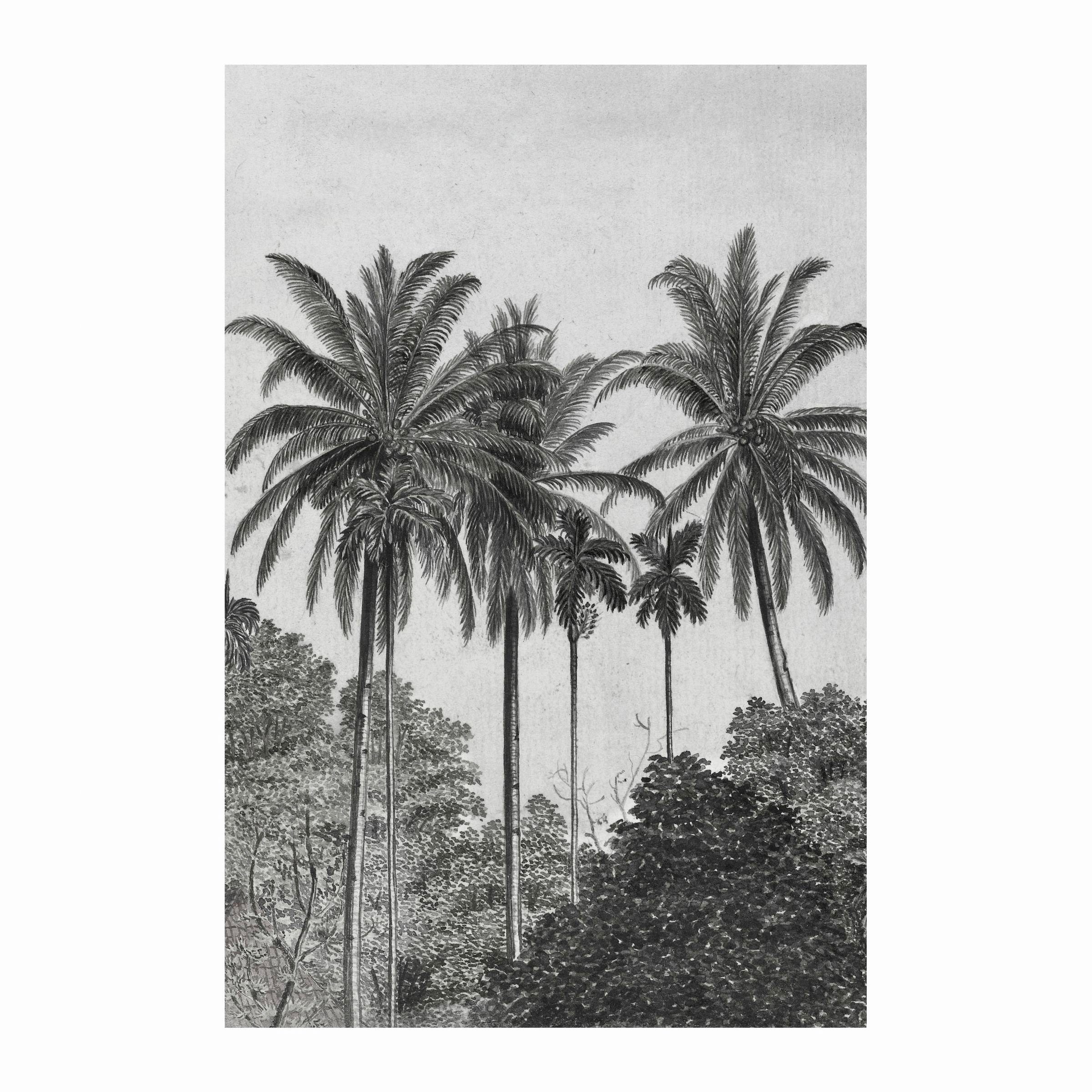 Art for the home Fototapete Palmen, glatt, botanisch, 200 cm Länge