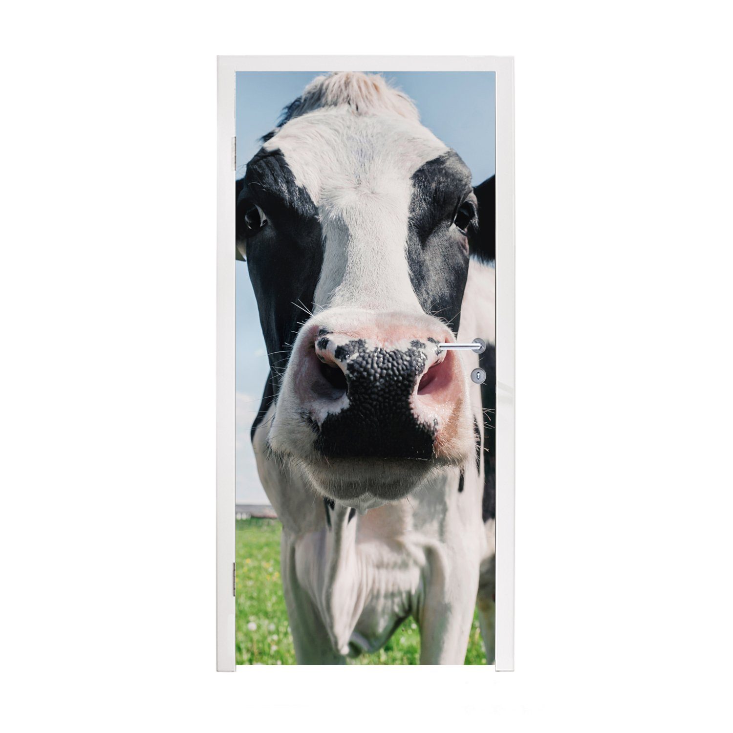 MuchoWow Türtapete Kuh - Wiese - Natur - Tiere - Gras, Matt, bedruckt, (1 St), Fototapete für Tür, Türaufkleber, 75x205 cm