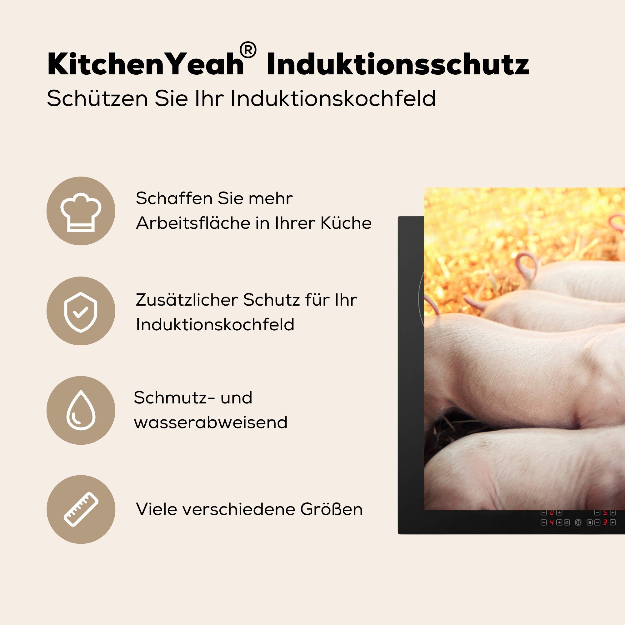 MuchoWow Herdblende-/Abdeckplatte Sauenferkel, Vinyl, Schutz Ceranfeldabdeckung tlg), Induktionskochfeld küche, die (1 für 81x52 cm