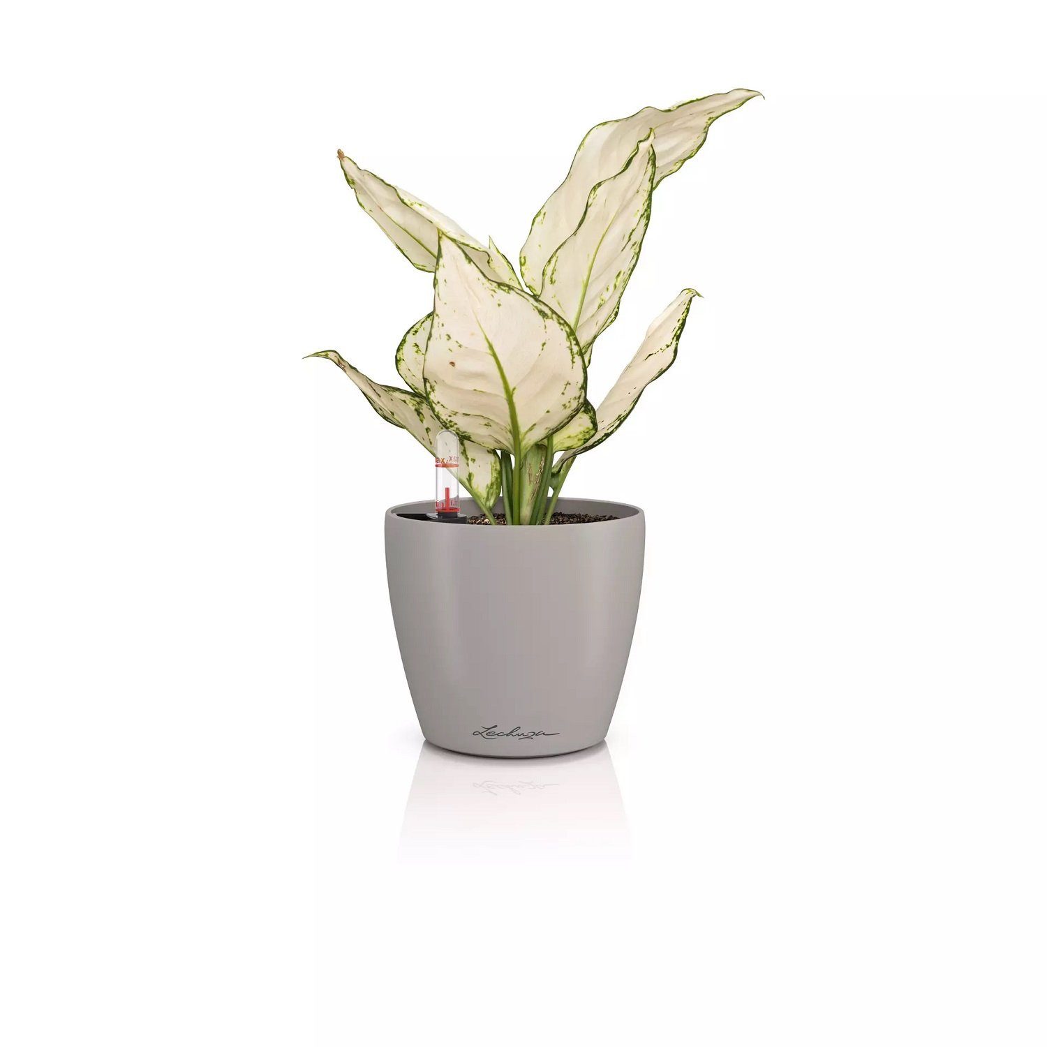 Lechuza® Blumentopf Classico Color 12 sandbraun günstig online kaufen