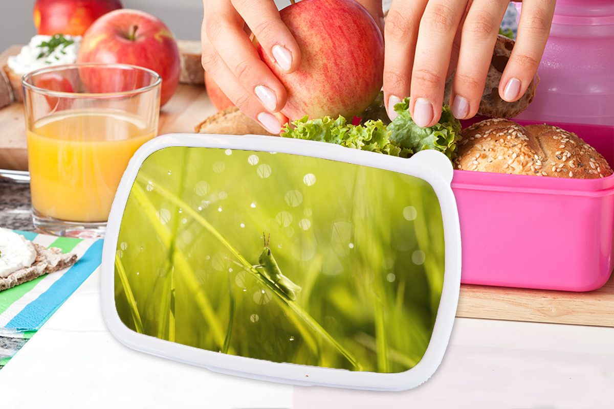 MuchoWow Lunchbox Grashüpfer Brotbox - Kunststoff, Kunststoff Gras Grün, rosa Kinder, für Snackbox, (2-tlg), - Mädchen, Brotdose Erwachsene