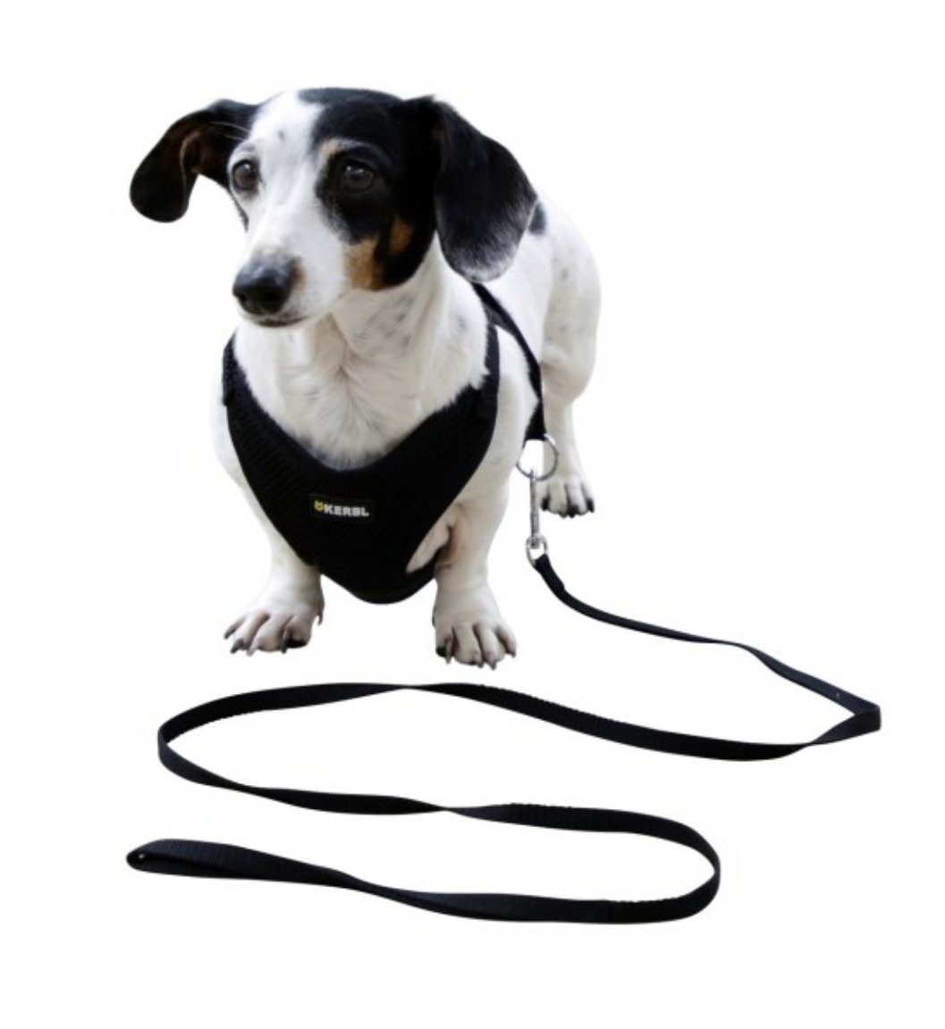 Kerbl Hunde-Geschirr Welpengeschirr schwarz 30 cm günstig online kaufen