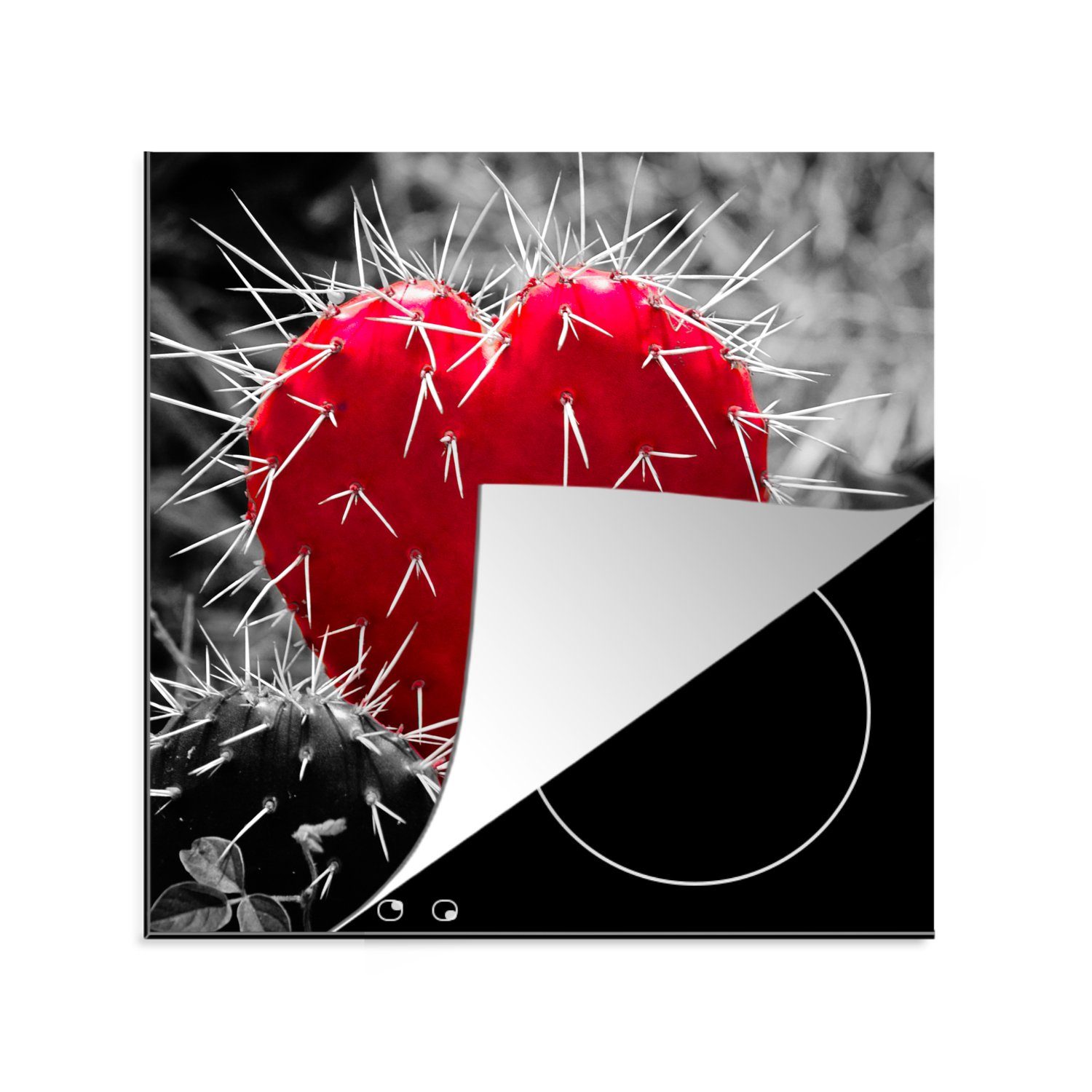 MuchoWow Herdblende-/Abdeckplatte Schwarz-Weiß-Foto mit einem roten herzförmigen Kaktus, Vinyl, (1 tlg), 78x78 cm, Ceranfeldabdeckung, Arbeitsplatte für küche