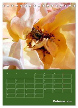 CALVENDO Wandkalender Bienen-Räume (Tischkalender 2024 DIN A5 hoch), CALVENDO Monatskalender