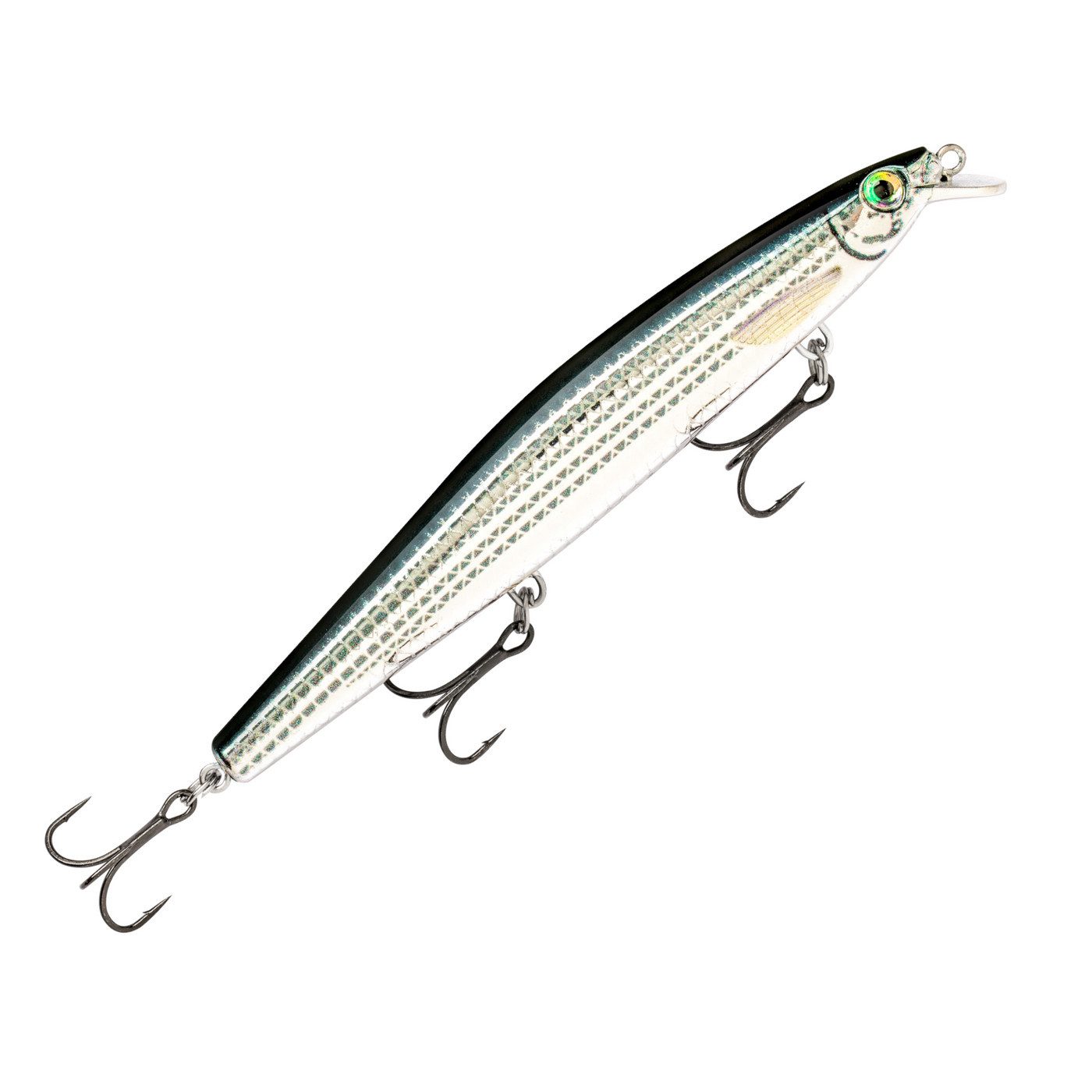 Live Mullet