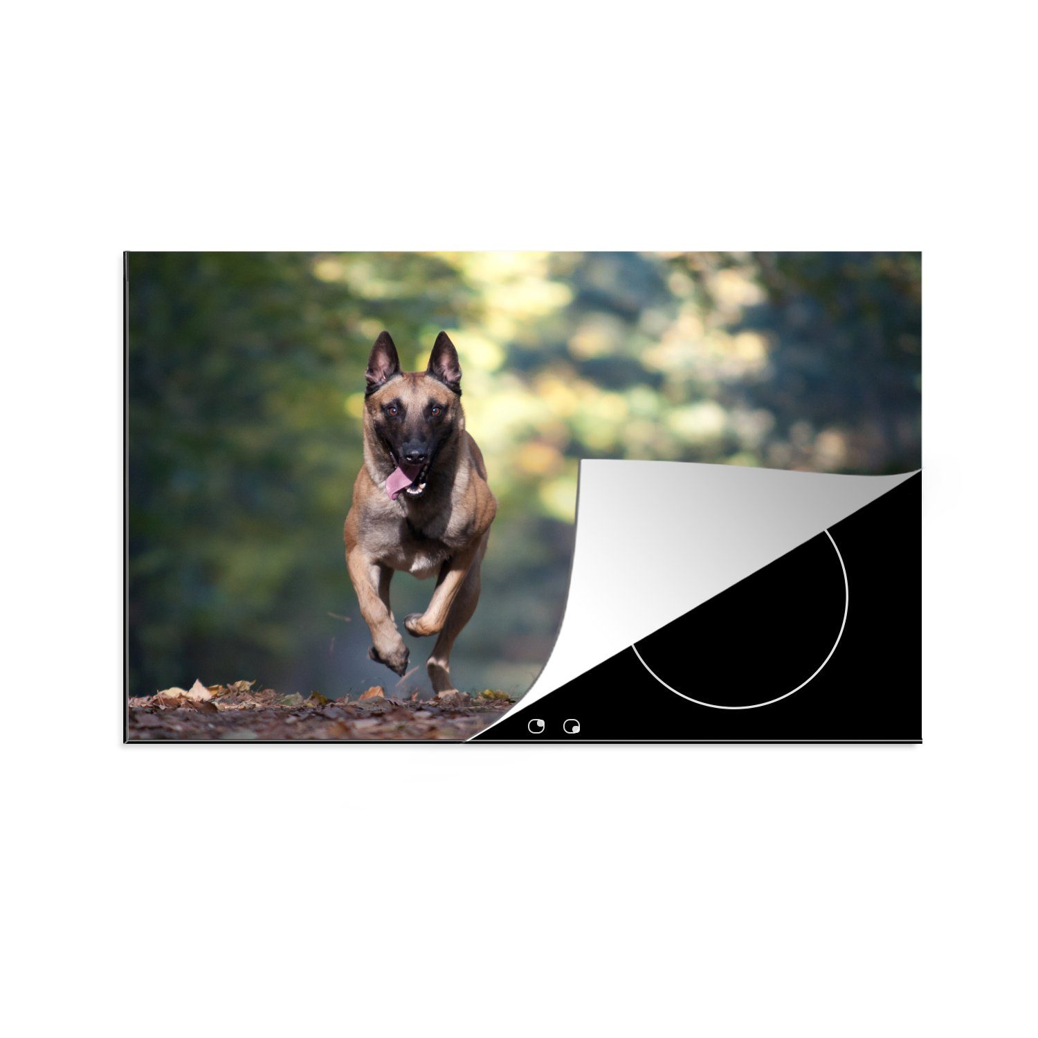MuchoWow Herdblende-/Abdeckplatte Sprintender Malinois-Schäferhund durch den Wald, Vinyl, (1 tlg), 81x52 cm, Induktionskochfeld Schutz für die küche, Ceranfeldabdeckung