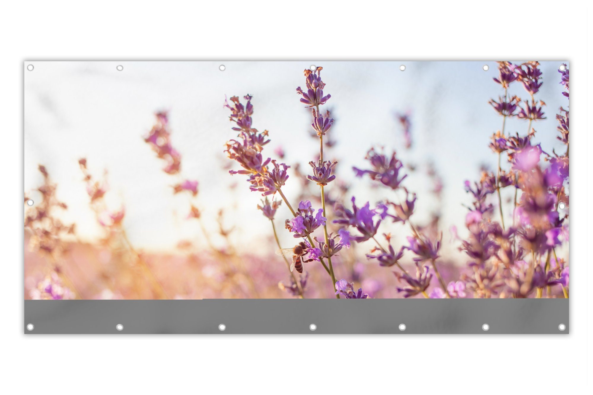 MuchoWow Balkonsichtschutz Lavendel Nahaufnahme Sonne Blumen