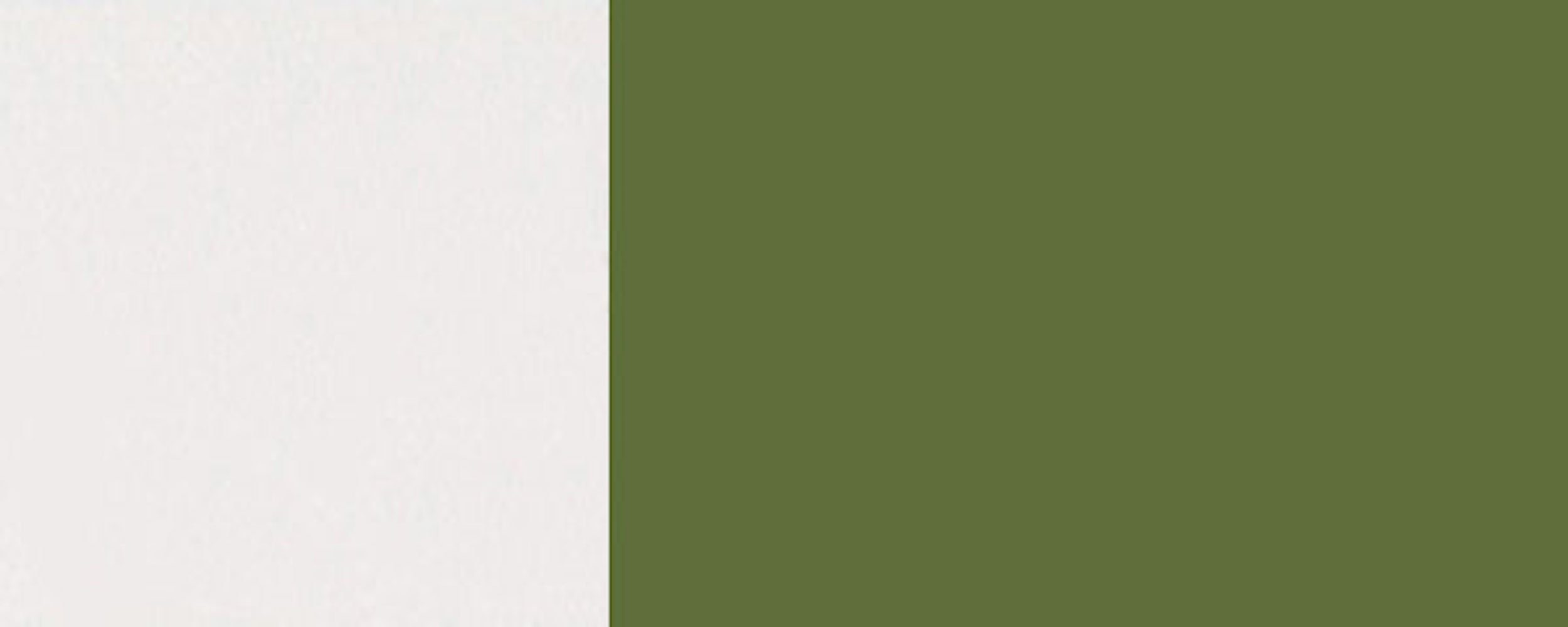 grifflos 2-teiligerHochfaltklapptür 6025 (Florence) Faltlifthängeschrank wählbar Florence farngrün RAL Feldmann-Wohnen Hochglanz Korpusfarbe 60cm Front-&