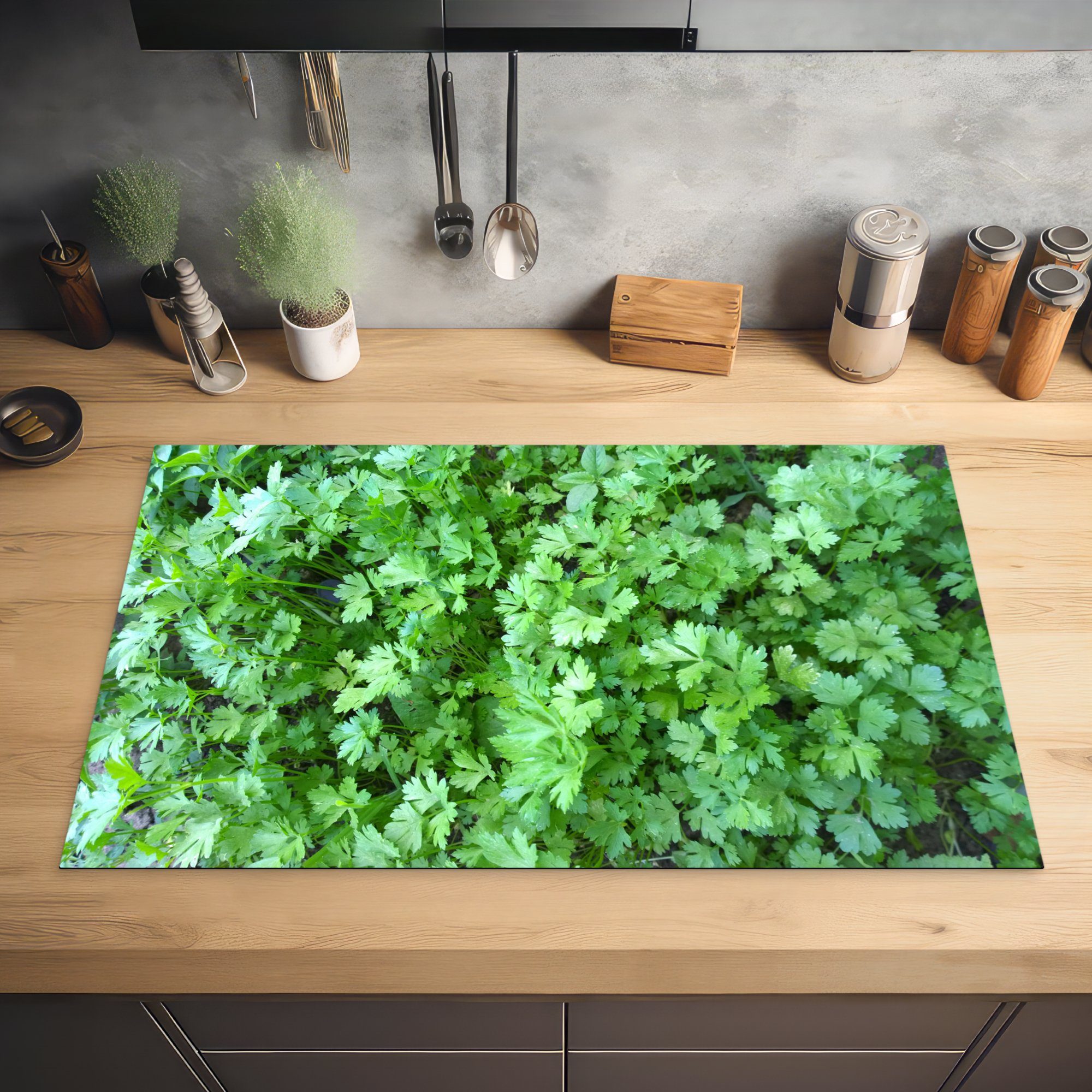 MuchoWow Herdblende-/Abdeckplatte Bild gefüllt mit tlg), (1 cm, Petersilie, grüner Arbeitsplatte 83x51 Vinyl, küche für Ceranfeldabdeckung