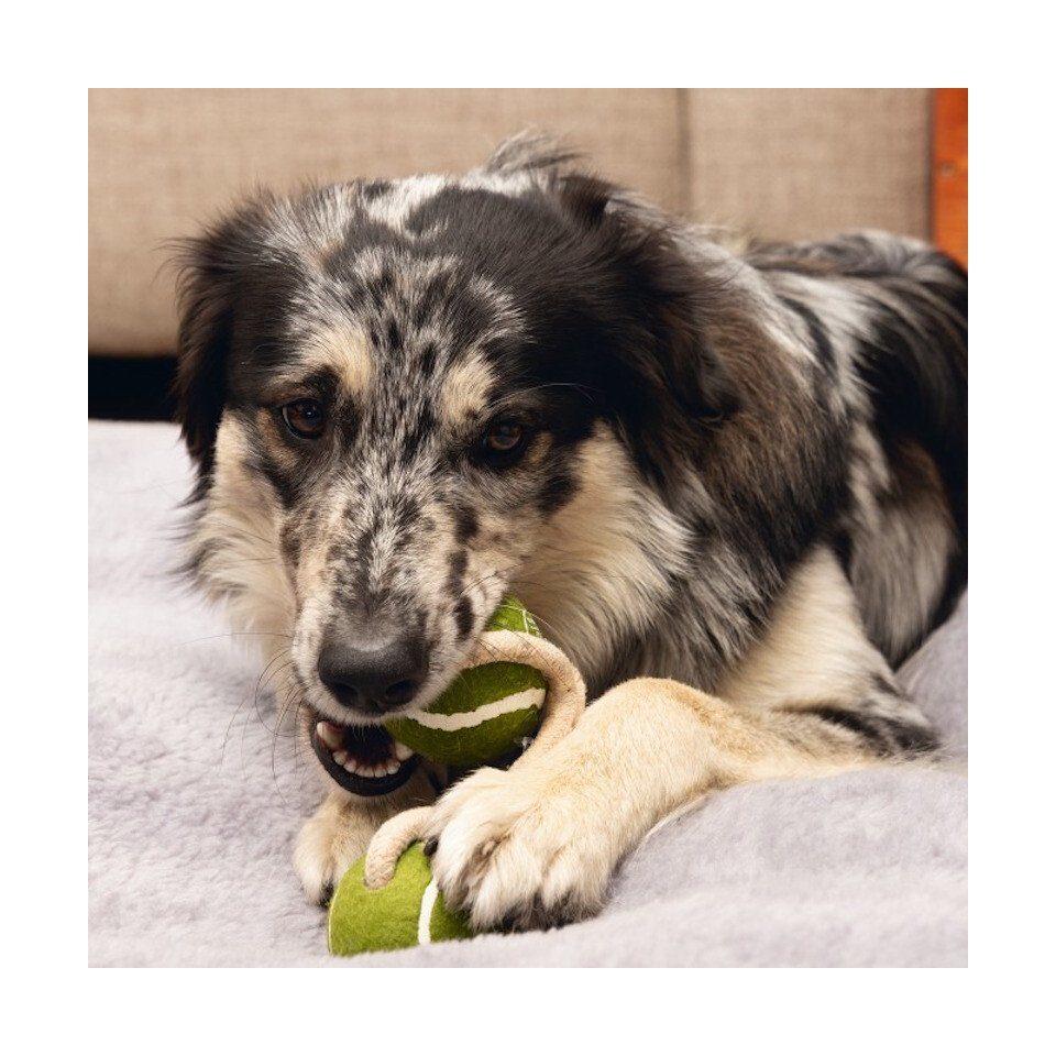 Beeztees Spielball Minus One Hundespielzeug mit Bälle grün-beige Seil Tennisball 2