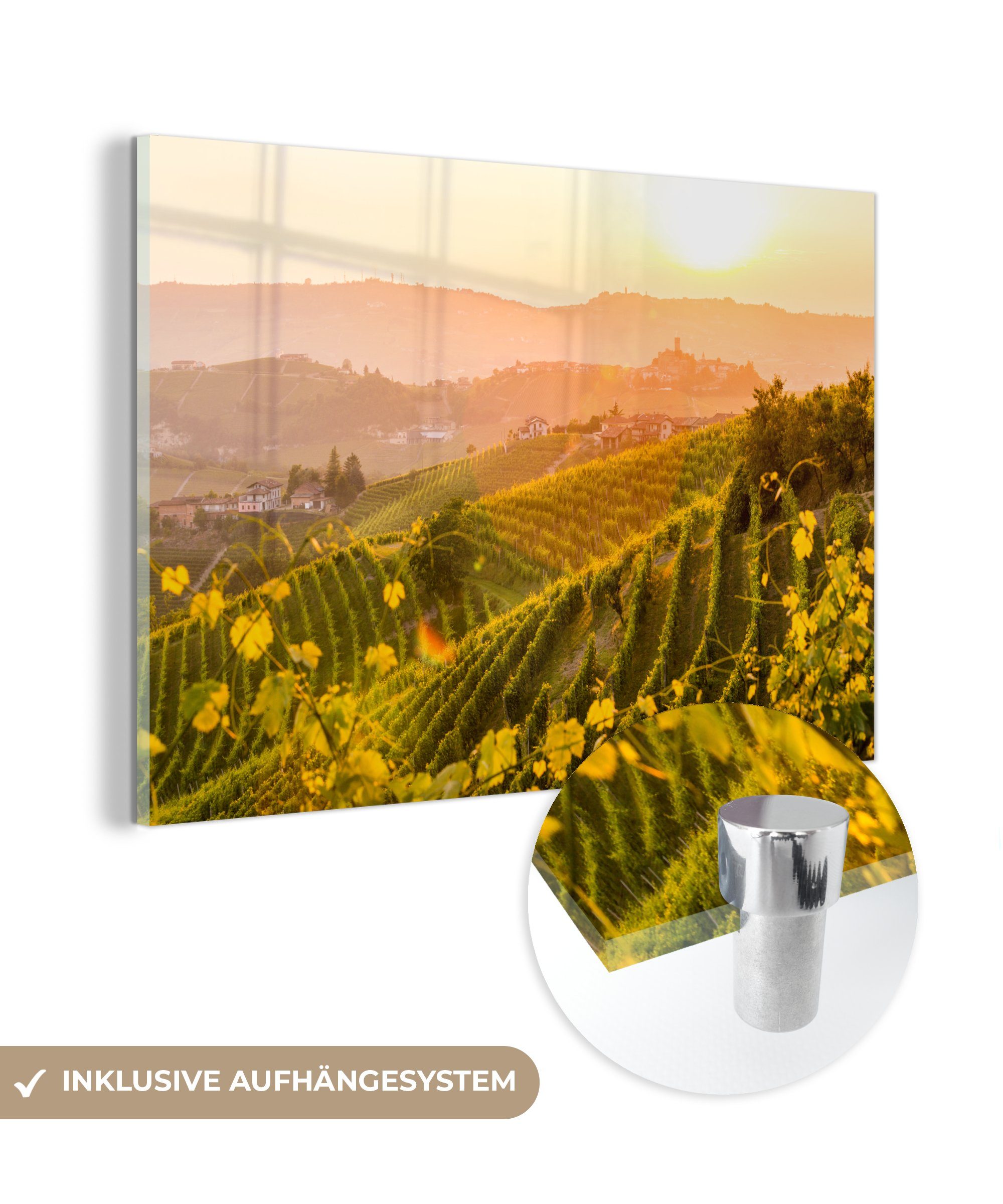 MuchoWow Acrylglasbild Italien - Weinberg - günstig online kaufen