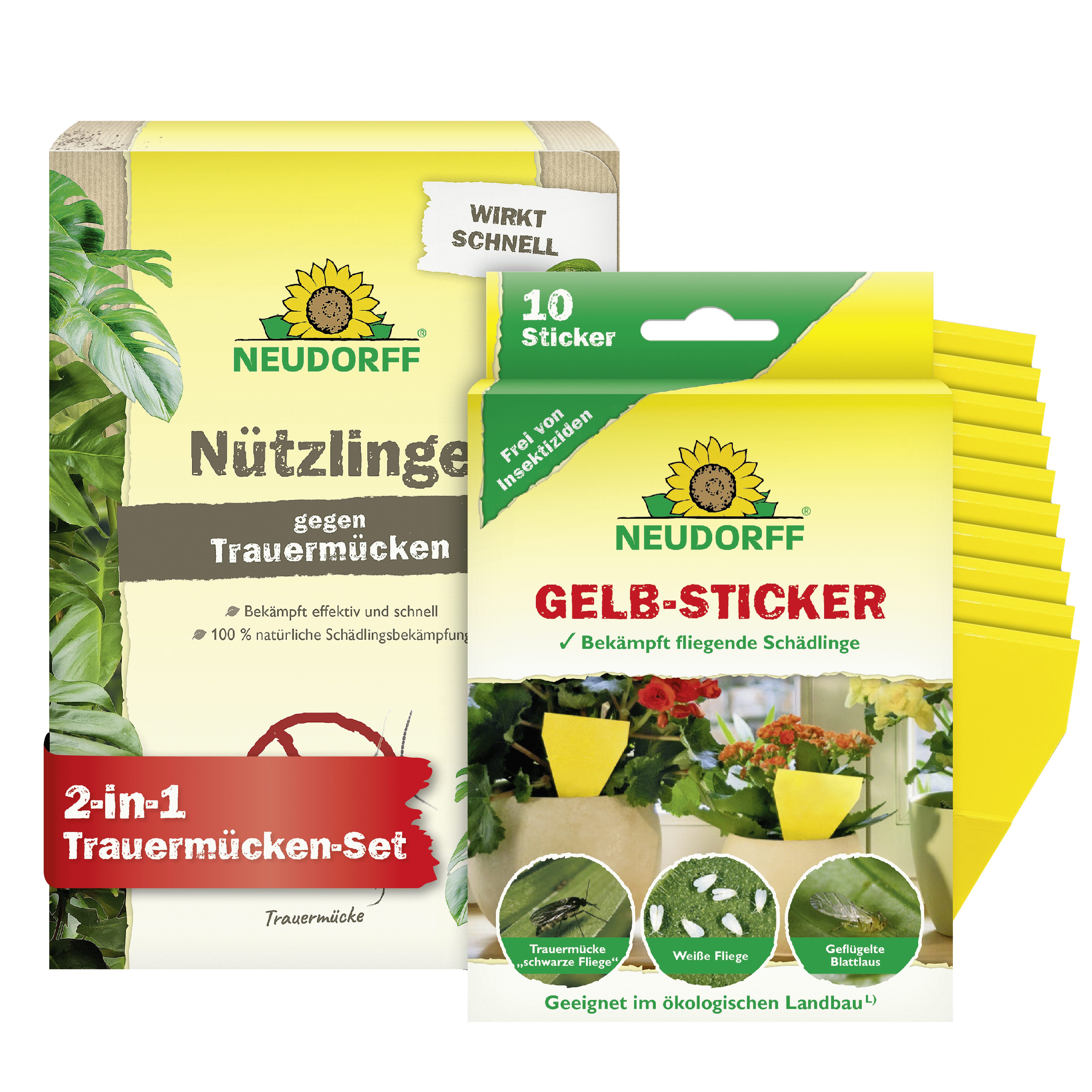 Neudorff Insektenvernichter Trauermücken-Set - 5 Mio. SF-Nematoden und Gelbsticker, Bekämpfung von Trauermücken mit Sofort- & Langzeitwirkung