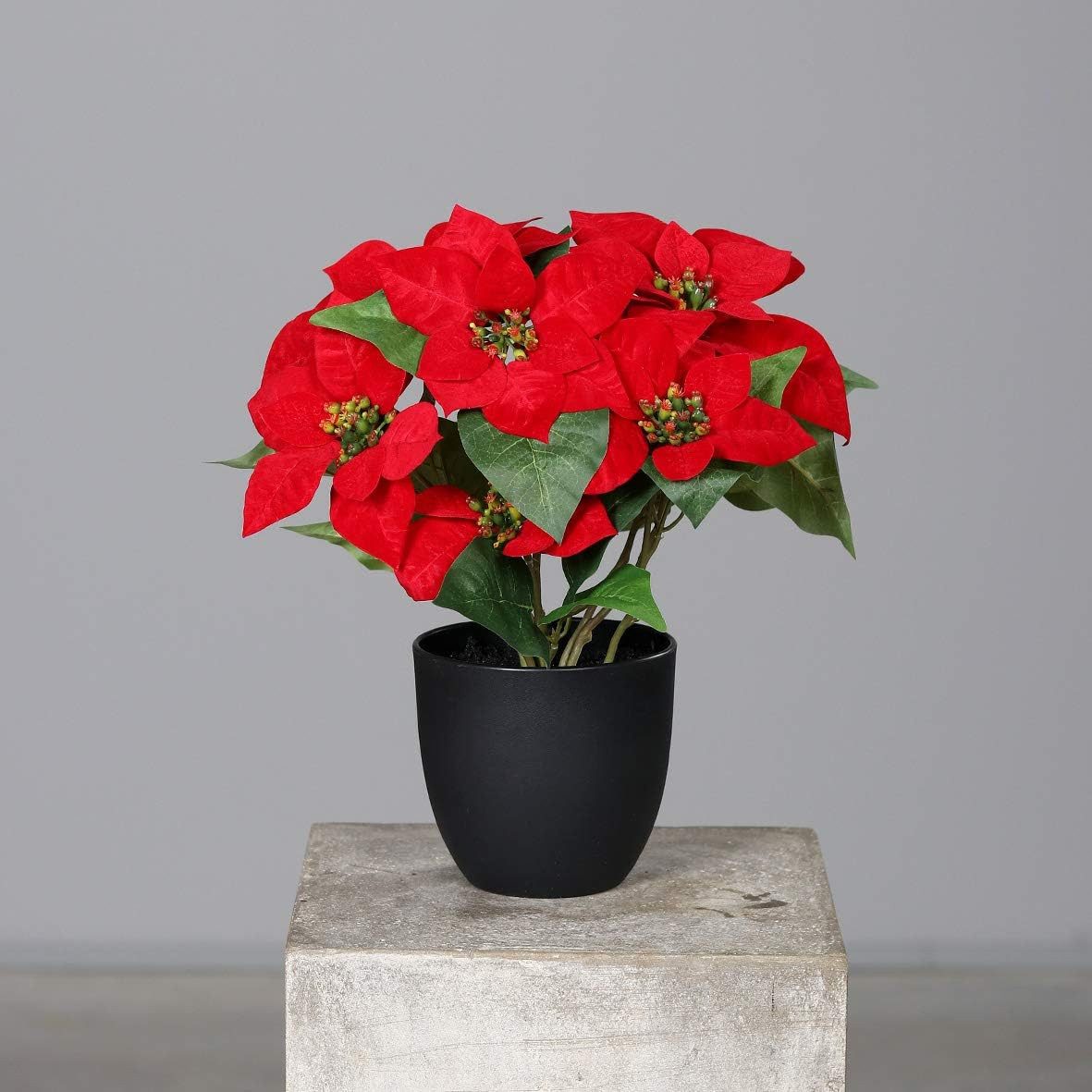 Winterliche Kunstpflanze Künstlicher Weihnachtsstern Poinsettie Rot im schwarzen Topf, mucPlants