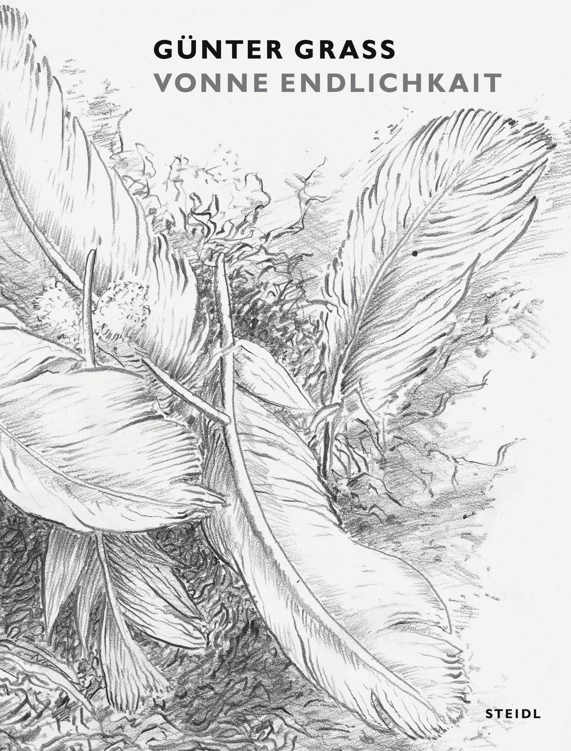 Belletristik Vonne Endlichkait Günter Grass