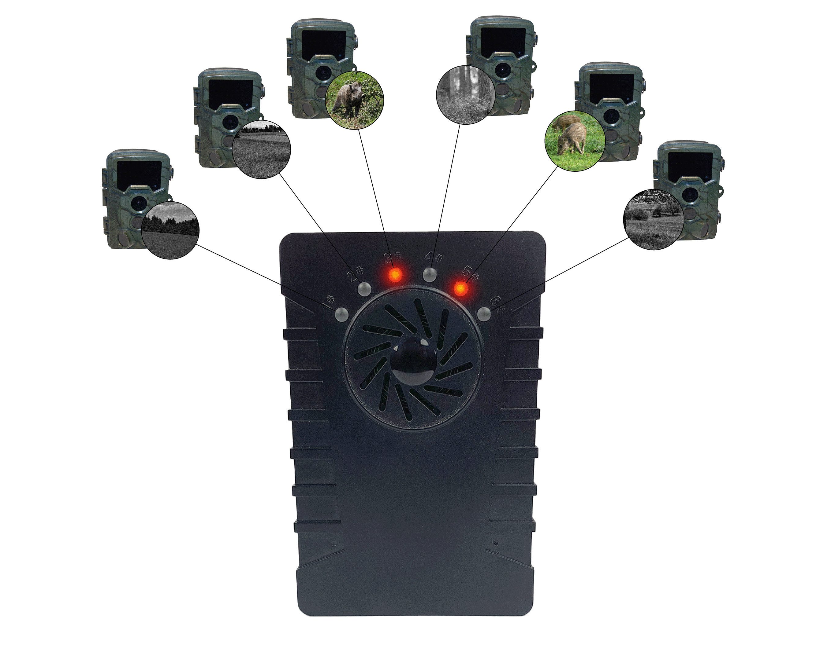 Berger & Schröter Wildkamera 4K/ Melder + Empfänger (Revier, Wildbeobachtung, Jagd, für bis zu 6 Wildkameras mit Ton- oder LED-Meldung)