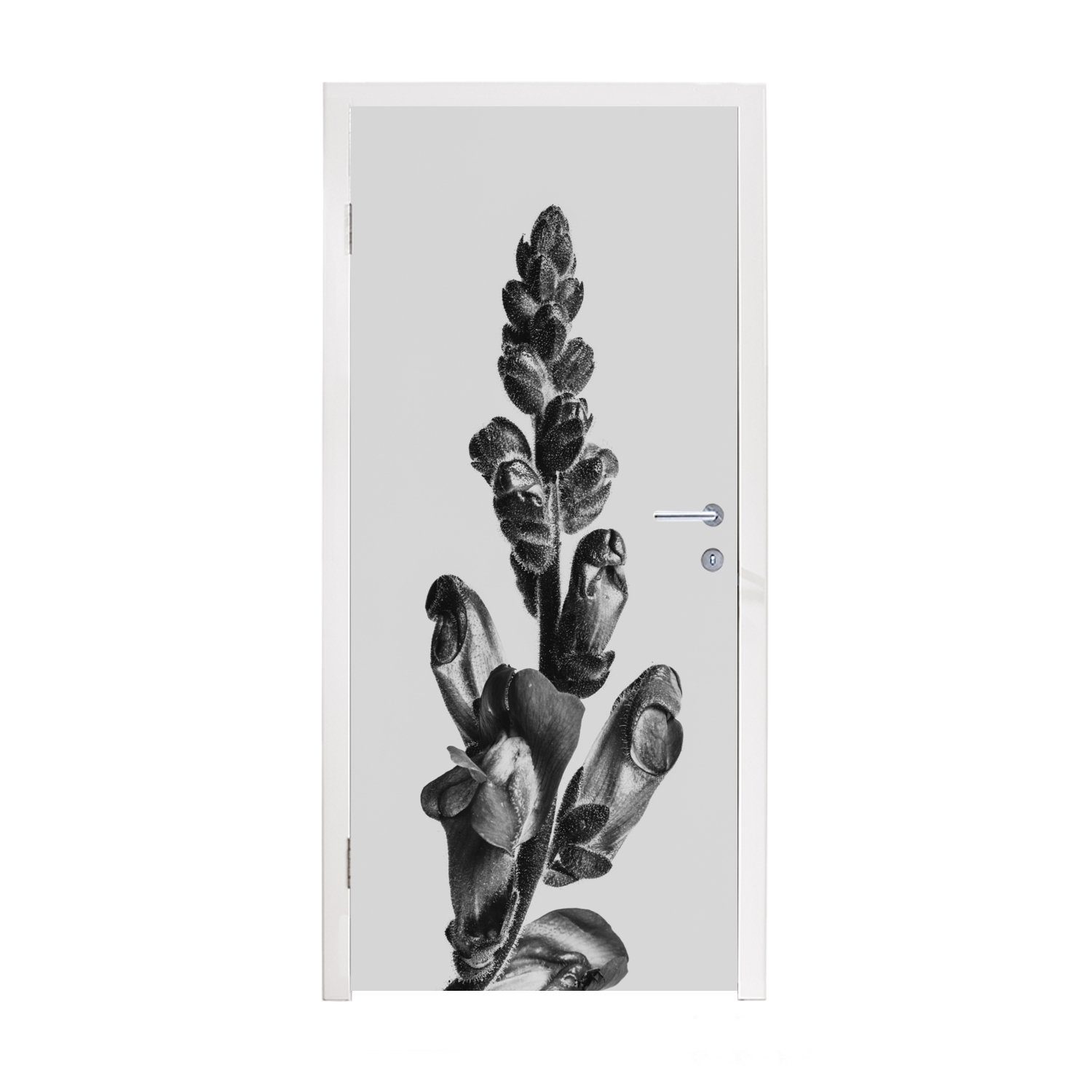 MuchoWow Türtapete Pflanze - Schwarz - Weiß - Abstrakt, Matt, bedruckt, (1 St), Fototapete für Tür, Türaufkleber, 75x205 cm