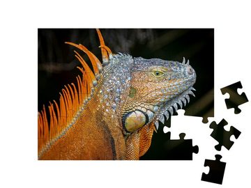 puzzleYOU Puzzle Morphe eines ausgewachsenen Grünen Leguans, 48 Puzzleteile, puzzleYOU-Kollektionen Leguane, Tiere in Dschungel & Regenwald