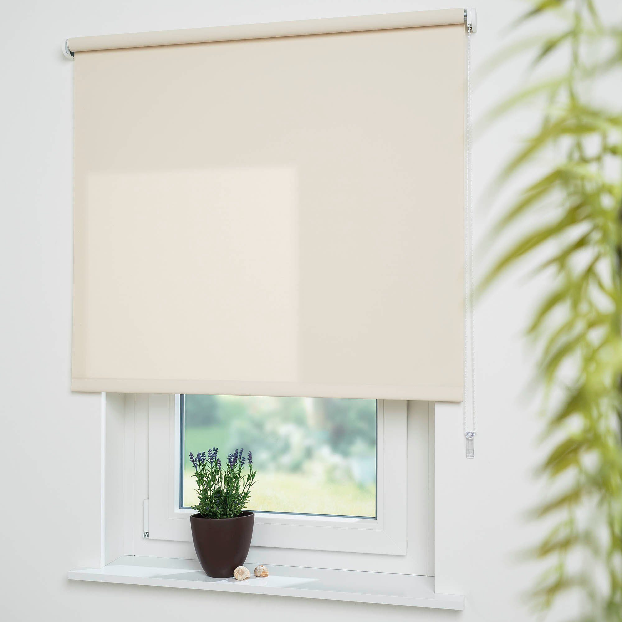 Seitenzugrollo Uni, Liedeco, Lichtschutz, mit Bohren, günstig online kaufen