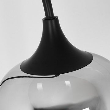 hofstein Stehlampe »Saltusio« moderne Stehlampe in Schwarz/Rauchfarben/Klar, ohne Leuchtmittel