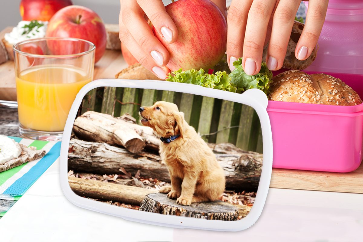 Mädchen, Kunststoff, Brotbox Erwachsene, - Natur, Snackbox, - Kinder, (2-tlg), für Brotdose rosa Zweig Kunststoff Lunchbox MuchoWow Hund