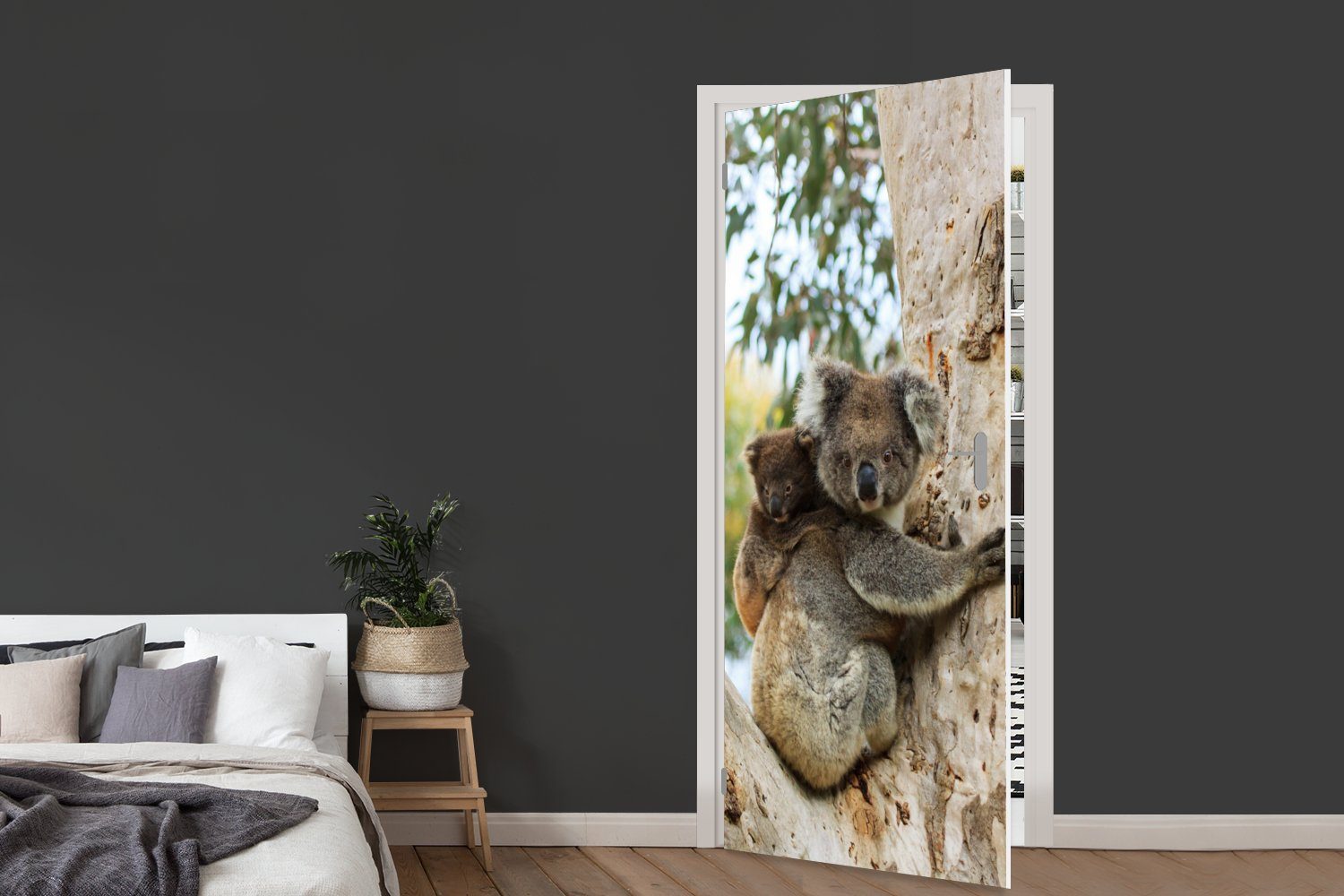 Fototapete St), Mädchen, cm - Baum Kinder Matt, Kind Junge - Türtapete bedruckt, - für Koalas Tür, Türaufkleber, 75x205 - - (1 MuchoWow