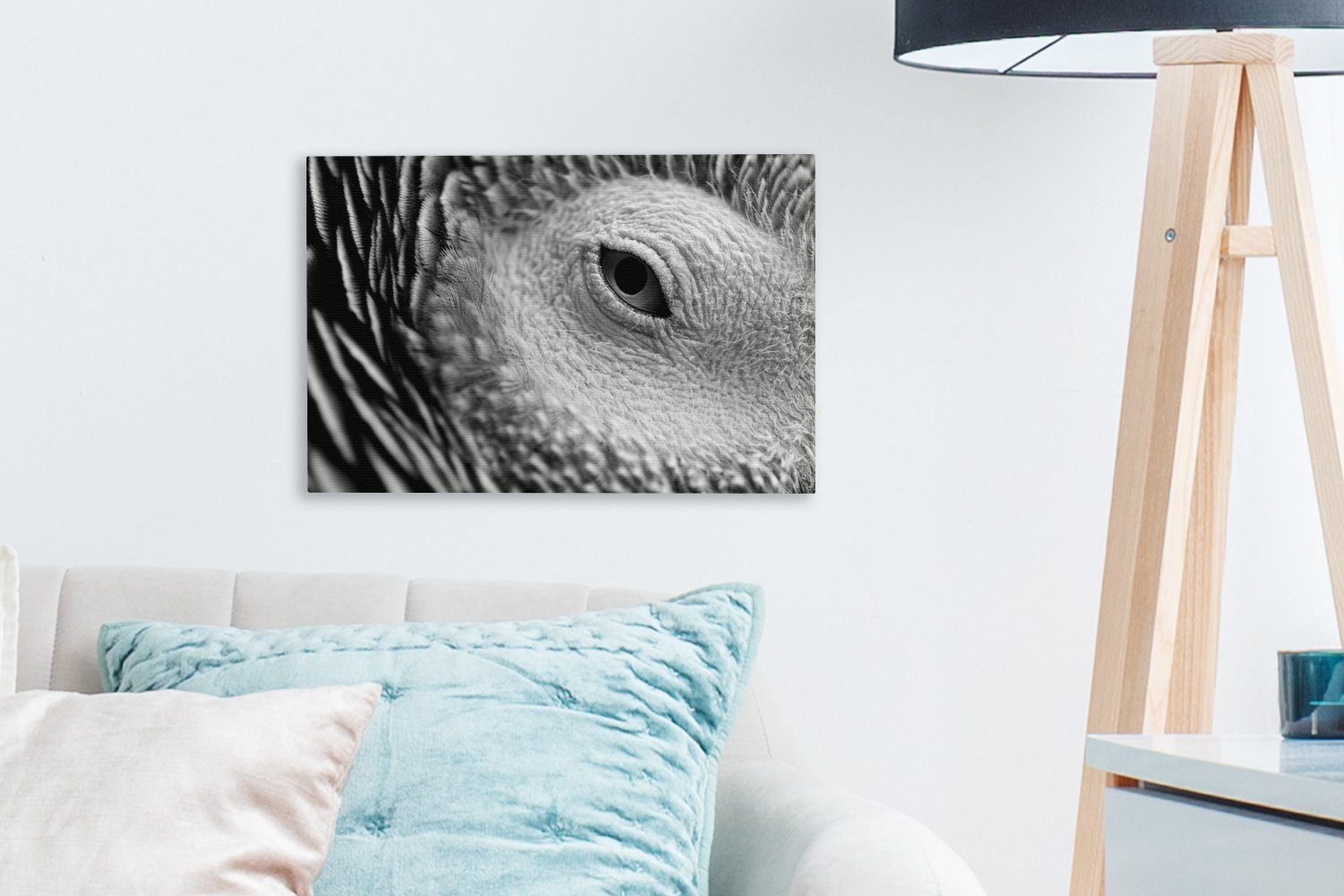 Aufhängefertig, Ein Detailfoto Gartenrotschwanzes schwarz Wanddeko, weiß, und (1 St), Leinwandbild Leinwandbilder, 30x20 - cm eines OneMillionCanvasses® Wandbild